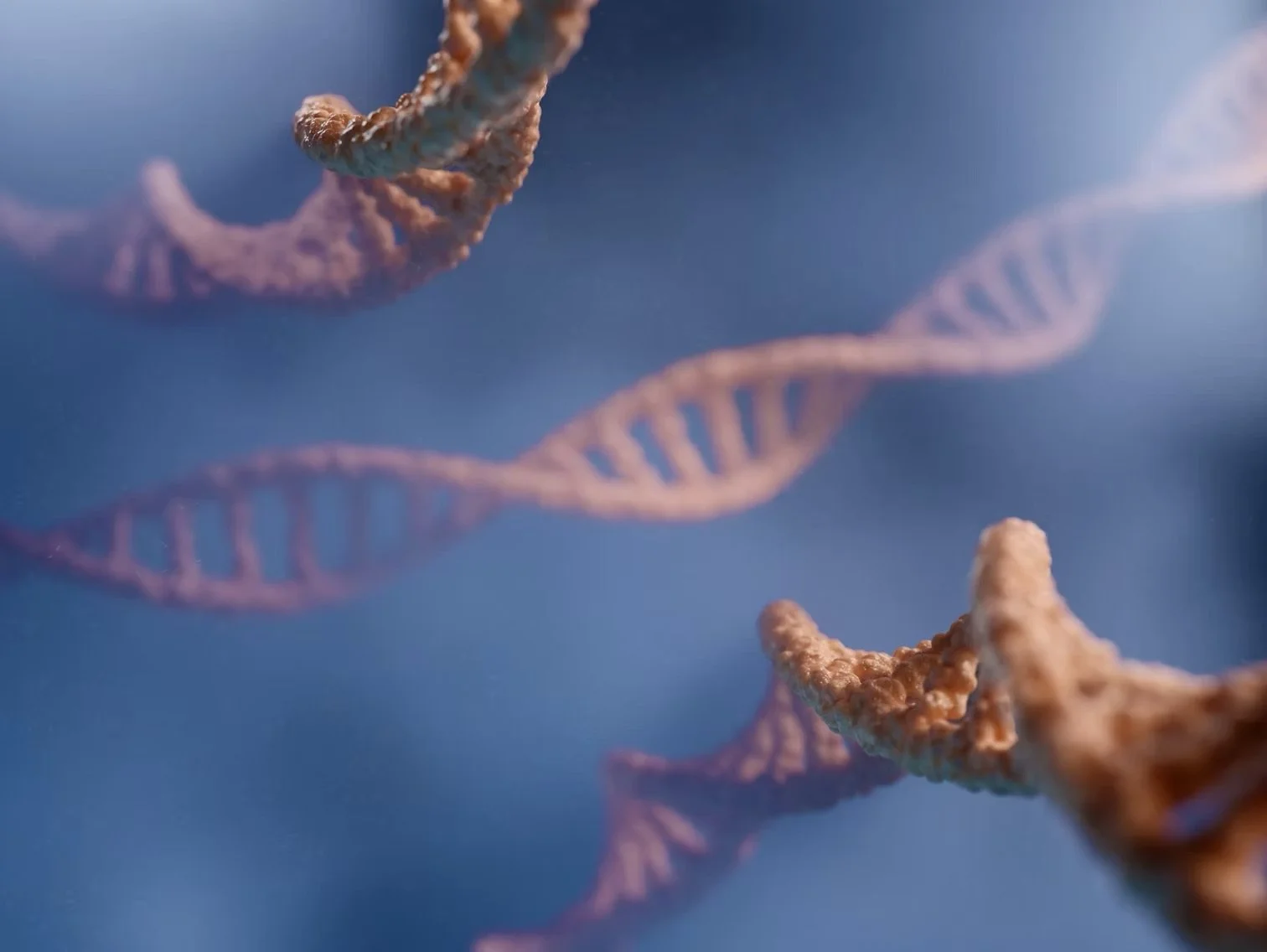 Unveiling Your Genetic Blueprint: How Genetics Influence Your Fitness and Nutrition Journey
