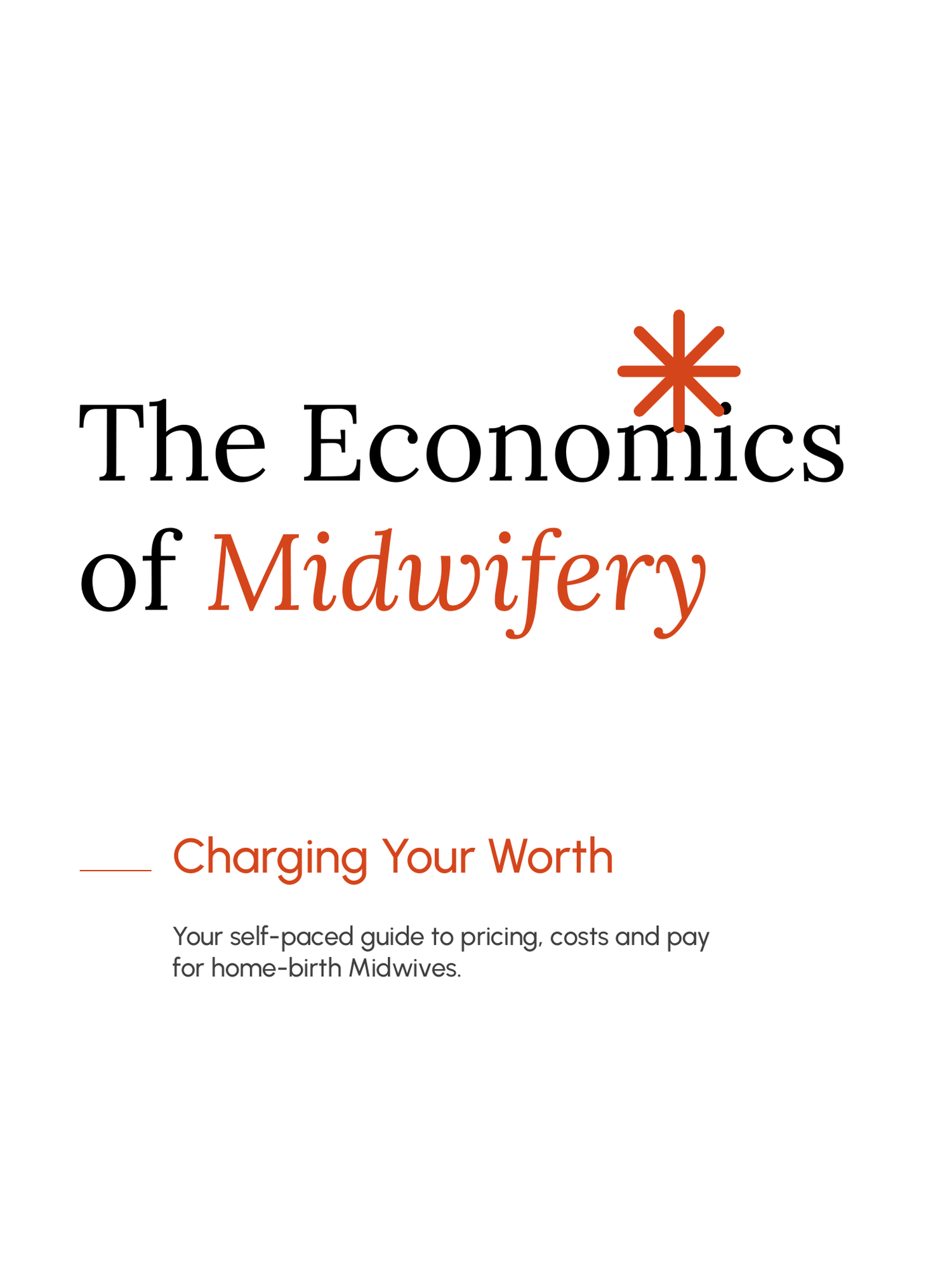 The Economics of Midwifery: Charging Your Worth, an online pricing course for home-birth Midwives