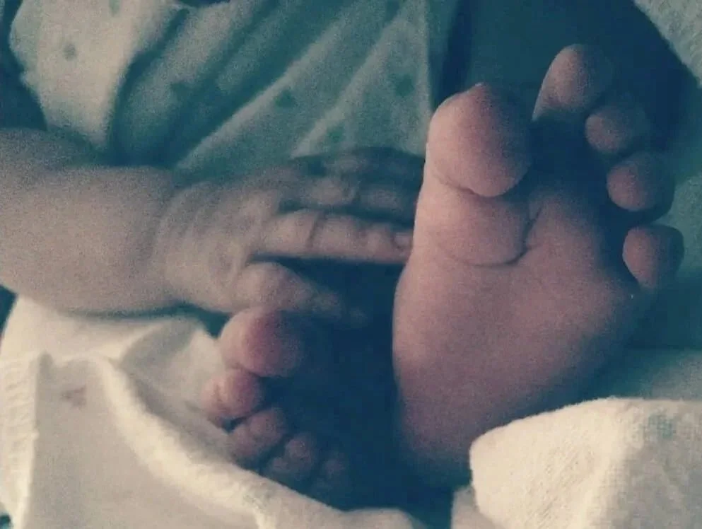 Close-up of a newborn baby's feet