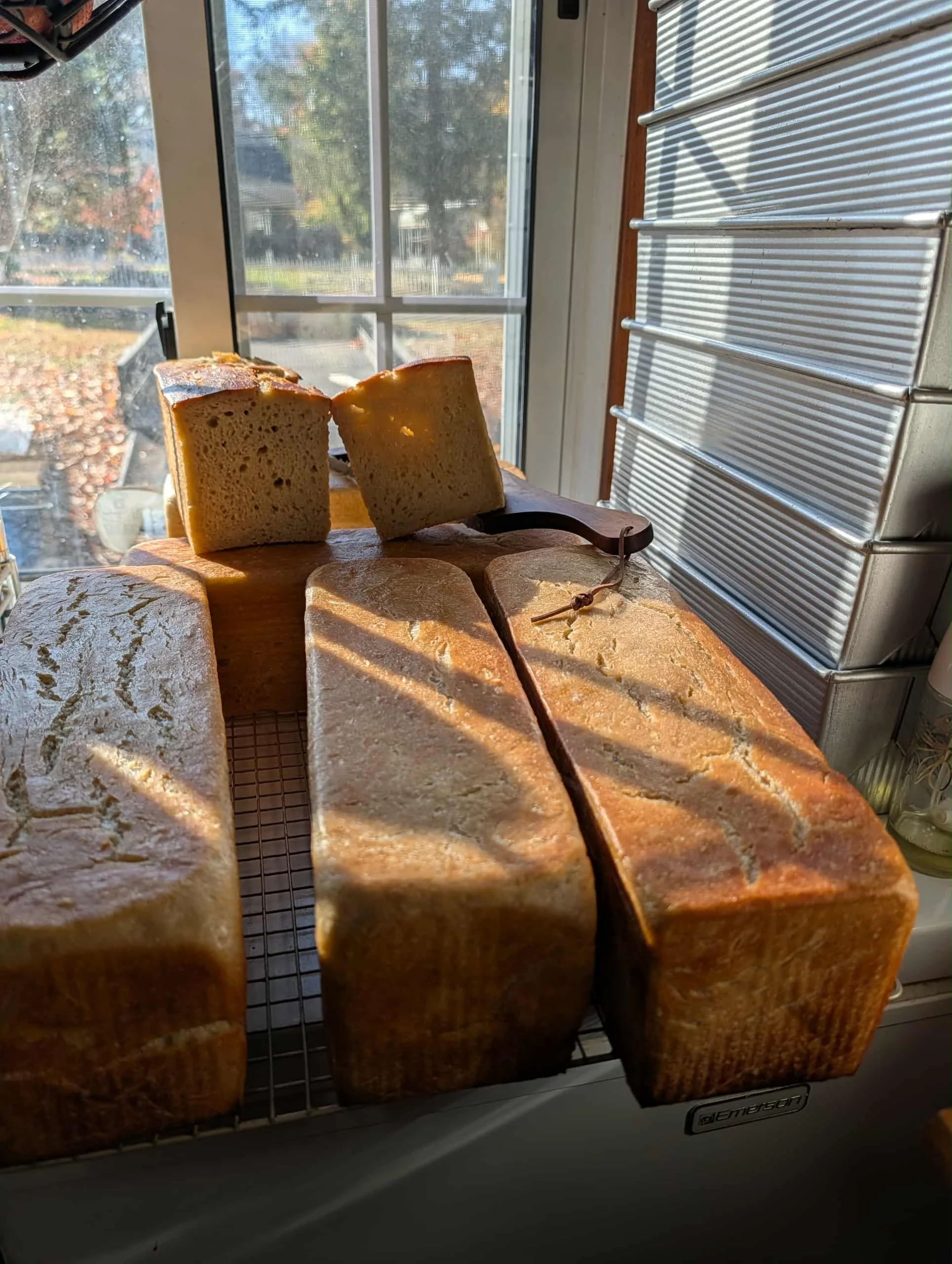 Artisan Sourdough Loaves