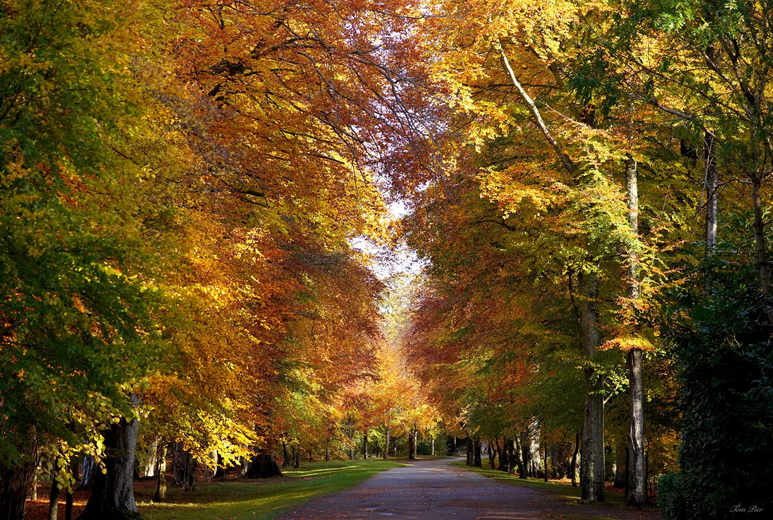 "Autumn Spectrum" Powerscourt, Enniskerry
