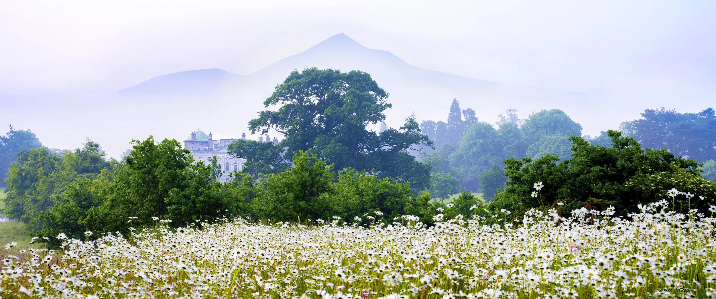'Morning Silence" Powerscourt Estate