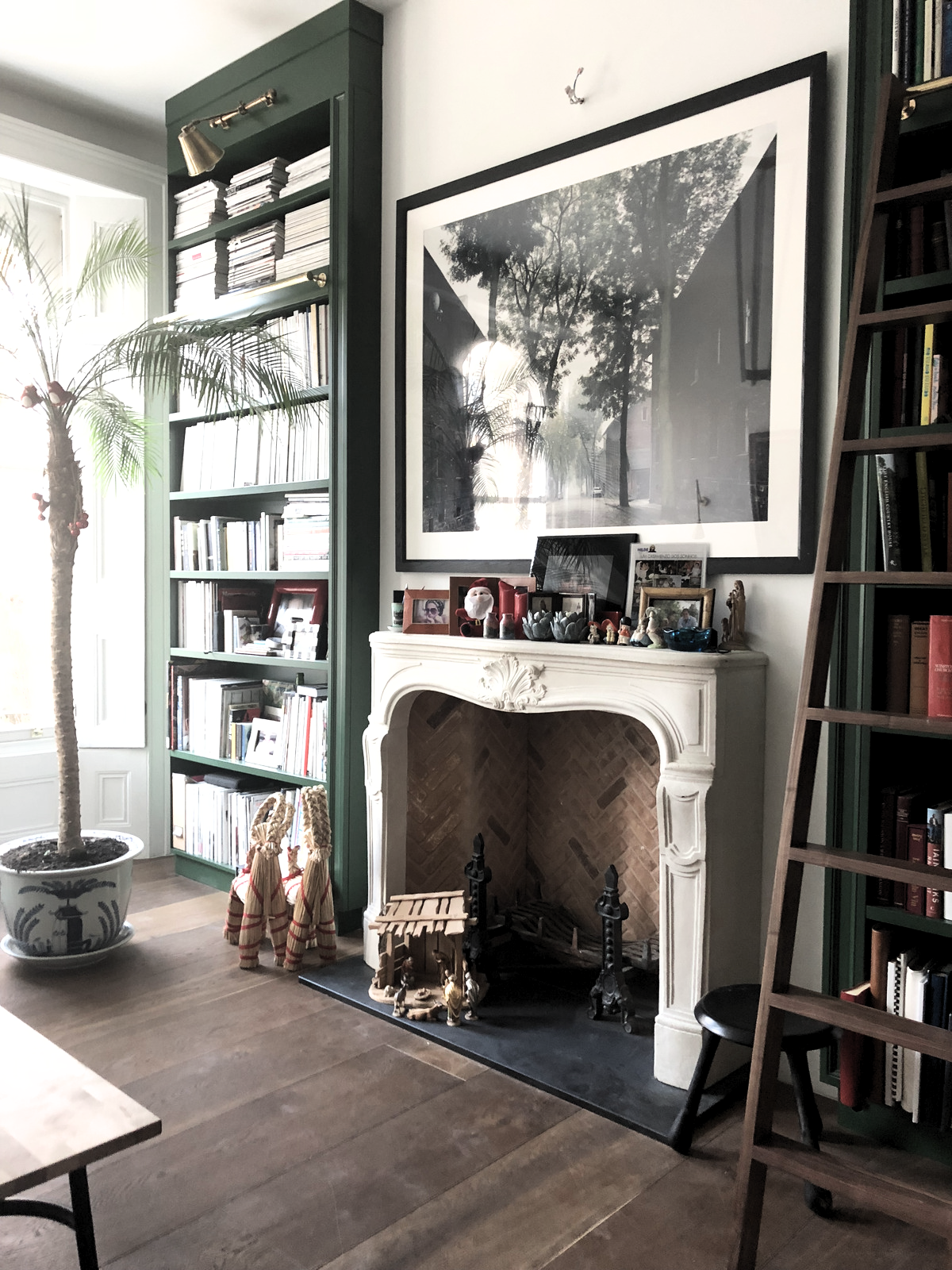Living room with fireplace, large framed black-and-white photograph, bookshelves, potted plant, and decorations on the mantel.