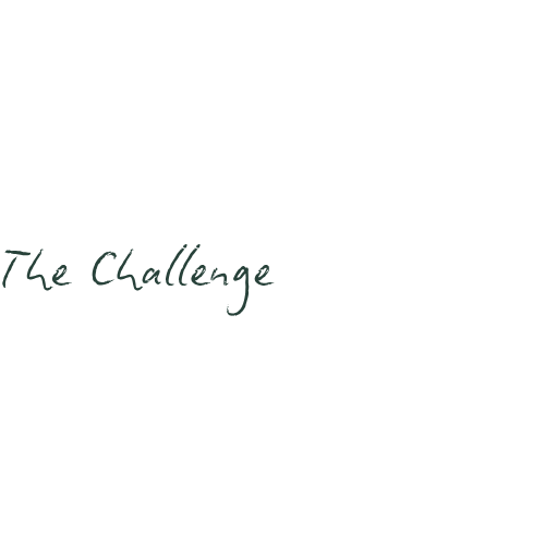 Text that reads 'The Challenge' with decorative graphics and cursive font.