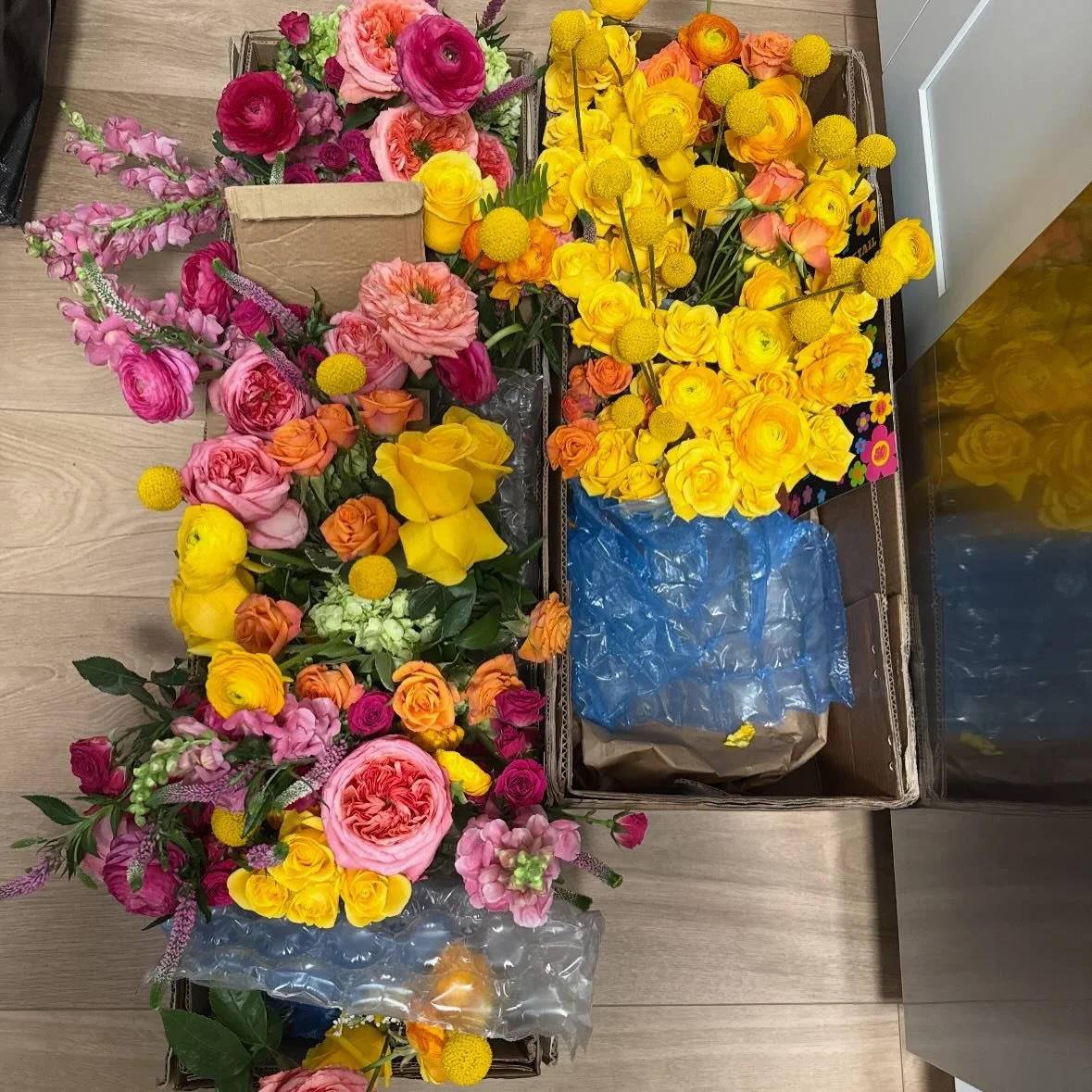 We are so thankful to have been donated these vibrant florals designed by @floristika_studio from @belmontcc1918, thanks to @ericapaigeevents 💛🧡🩷

The most beautiful pops of color to share the residents at Adelaide of Newton Center!