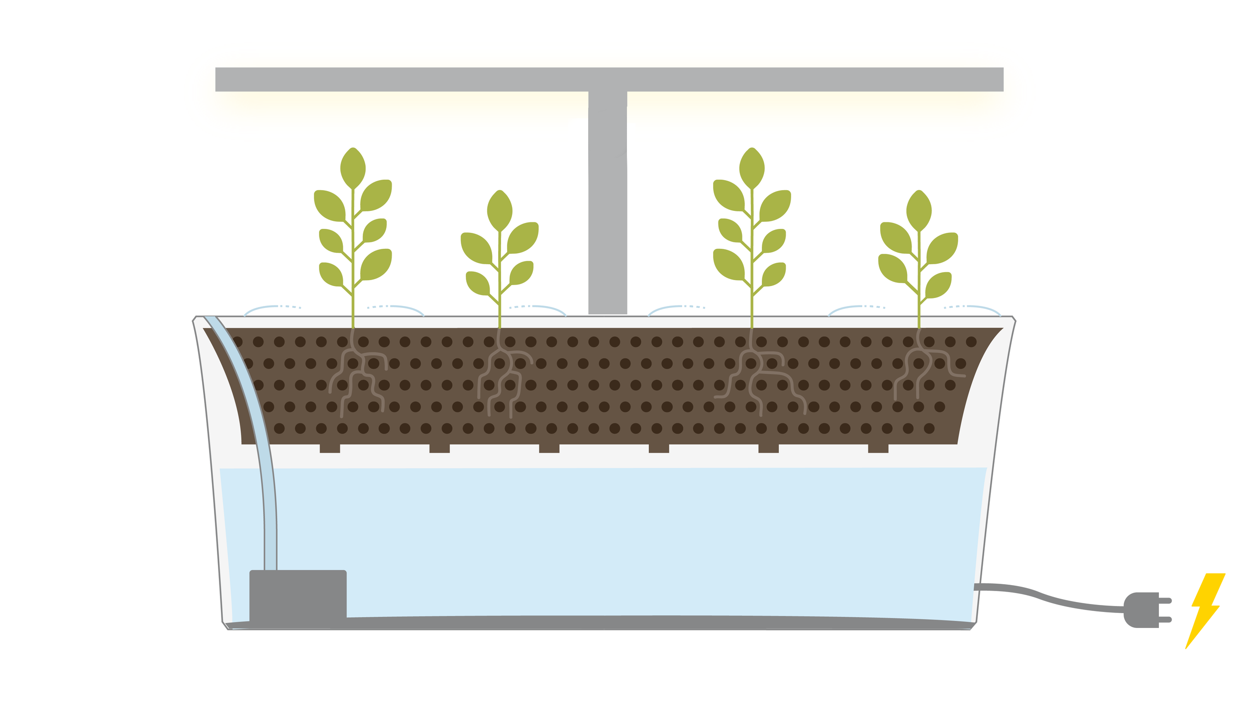 The water that is not absorbed by the growing medium and the roots is drained back into the tank, thus circulating and reusing the water.