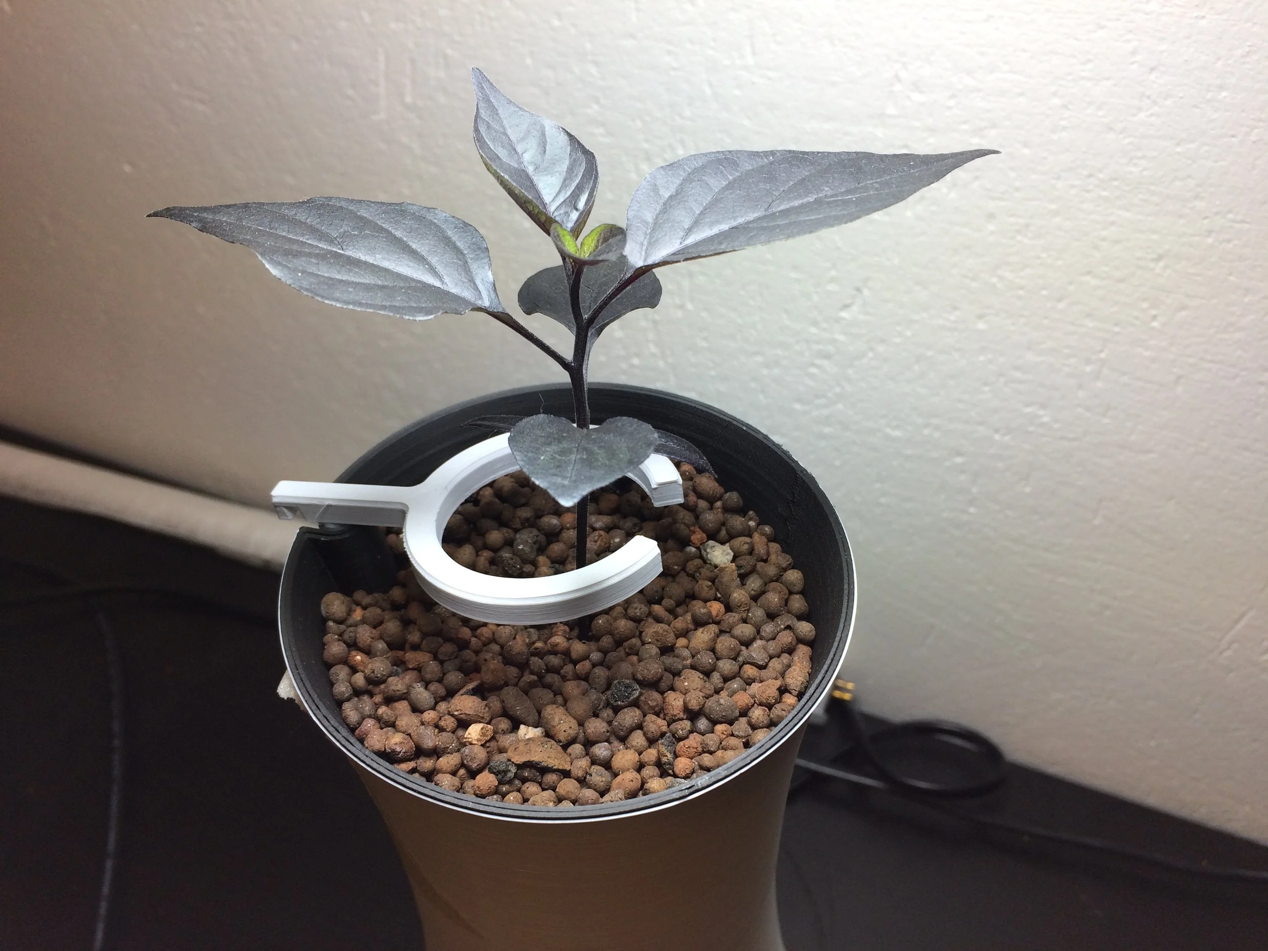Another water dispenser design that spreads out the water better.