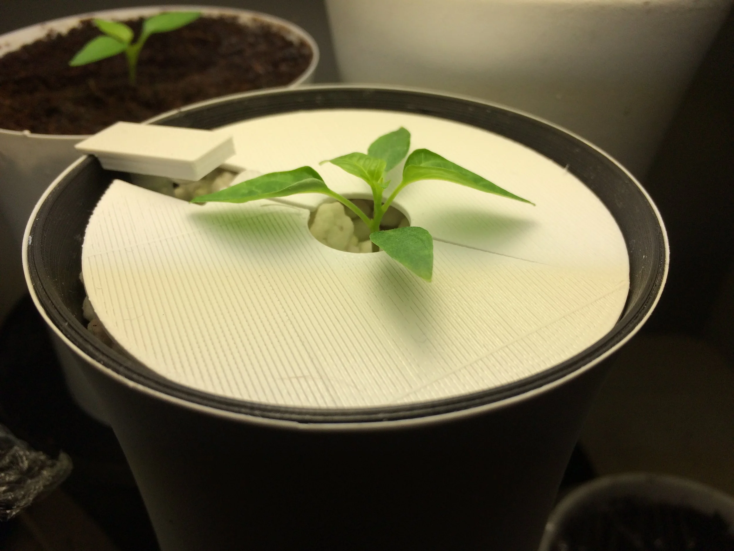 Cap that prevents water from evaporation.