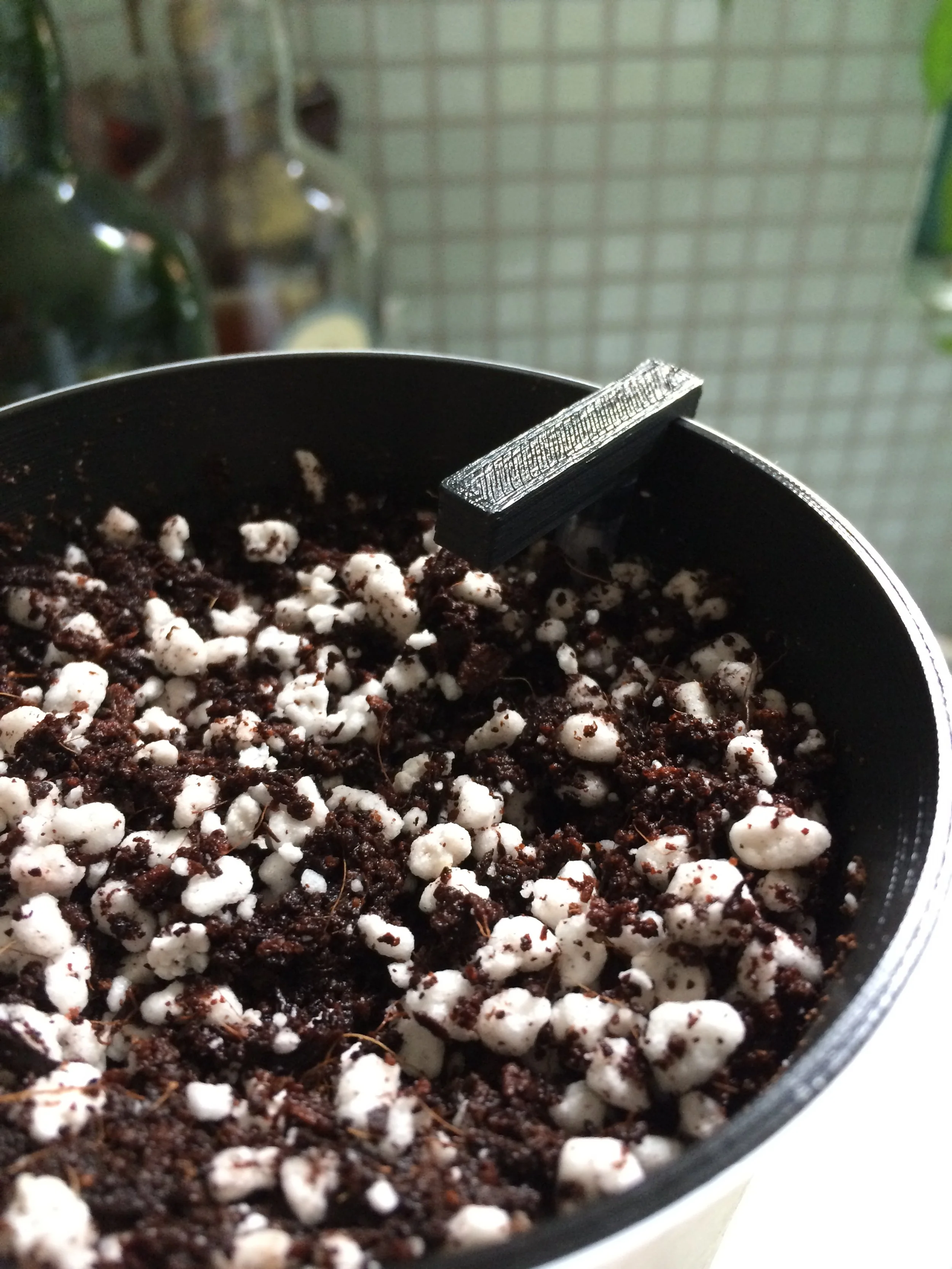 Experimenting with watering from top down instead of from below, in order to make the water last longer.