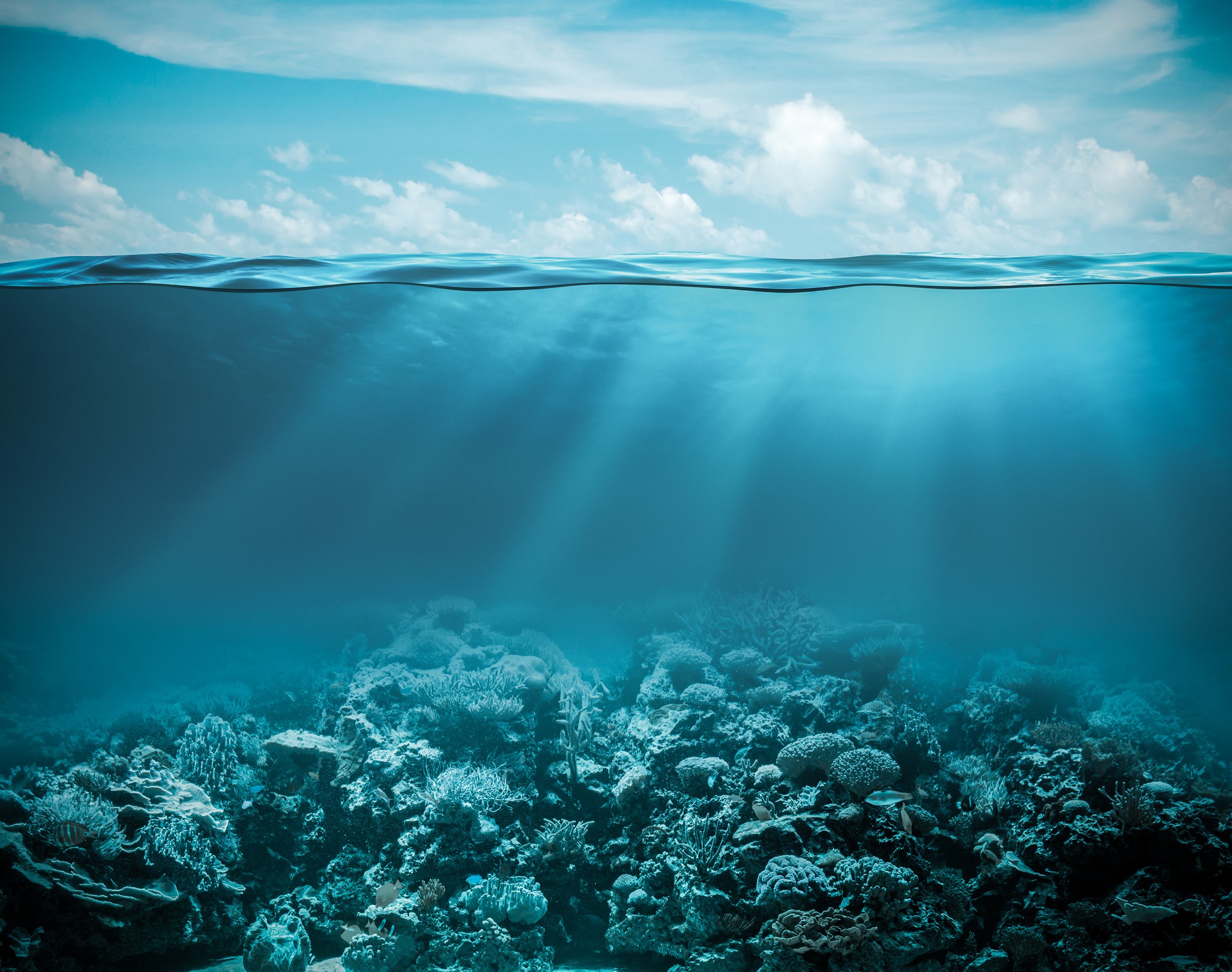 Underwater view of a vibrant coral reef with various corals and small fish, with clear blue water and sky above.