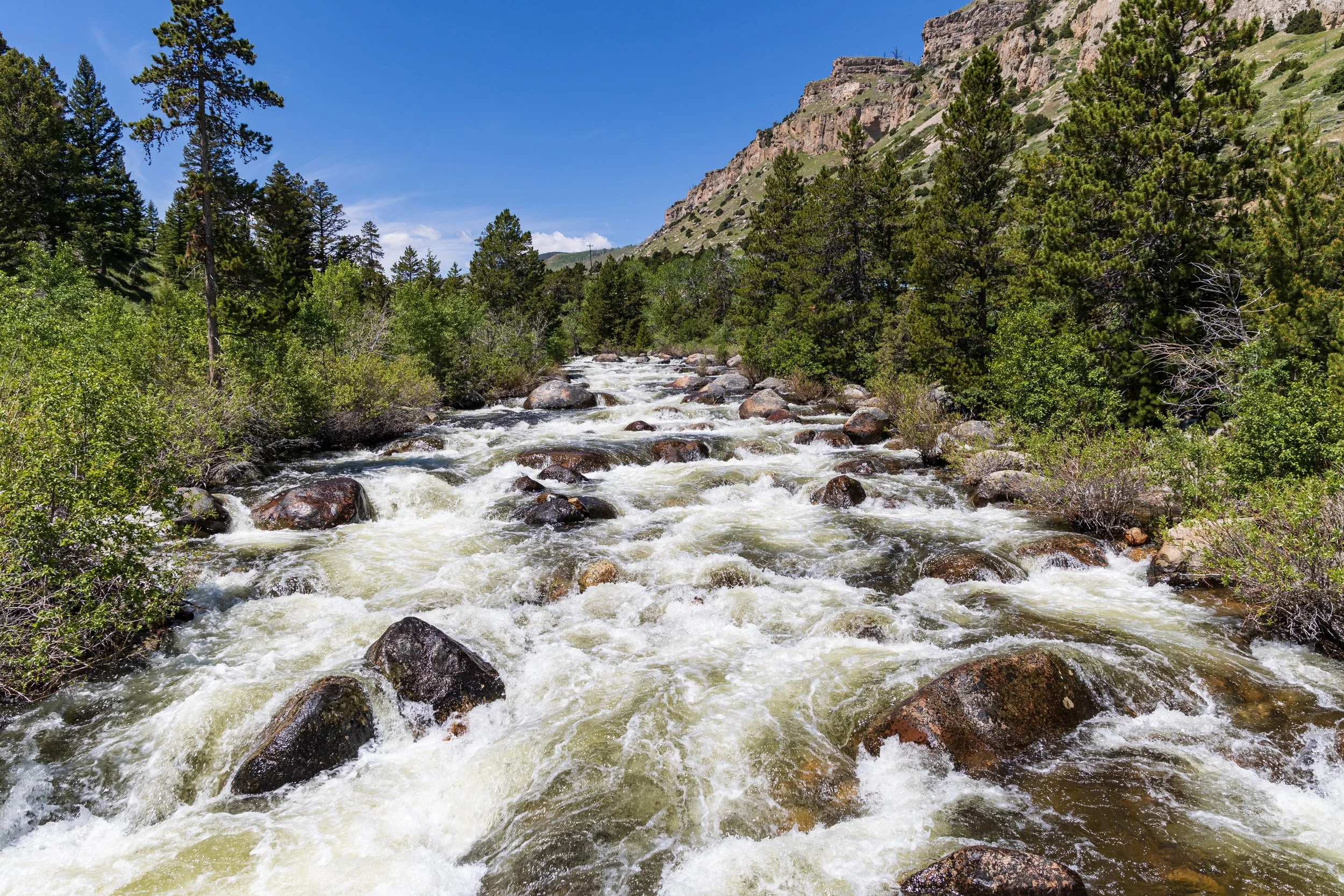 A river flowing over rocks in a forested valley with a mountain in the background under a blue sky.