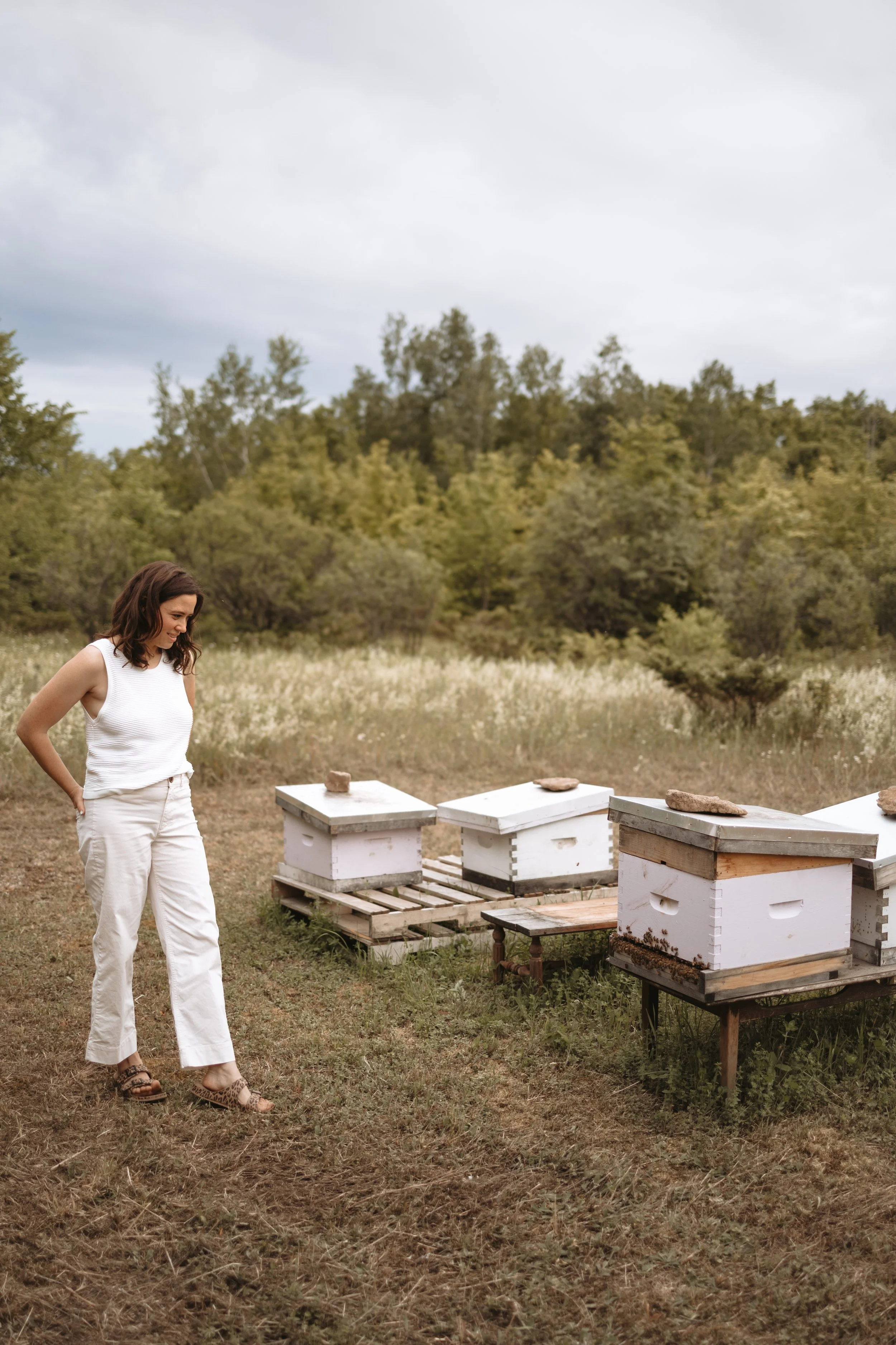 A woman standing outdoors near several white beehives placed on wooden pallets and benches in a grassy field with trees in the background under a cloudy sky.