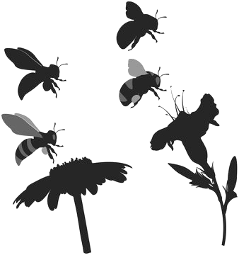 Silhouettes of five different insects and a flower against a black background.