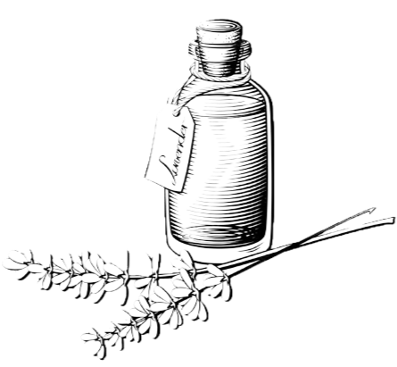 Small glass bottle with a tag hanging from its neck, alongside sprigs of lavender.