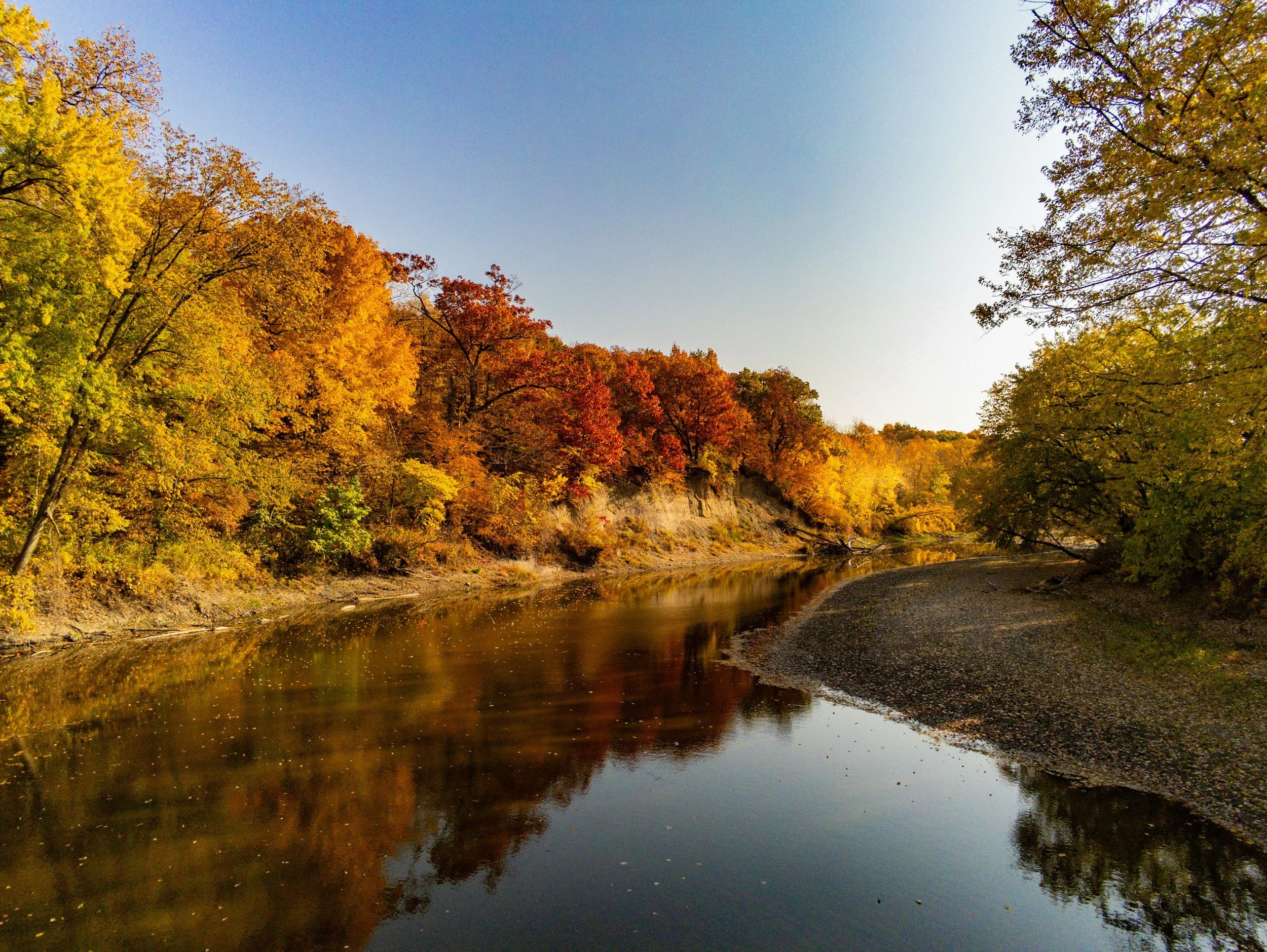 A river flowing through a forest during autumn with colorful fall foliage and clear blue sky.