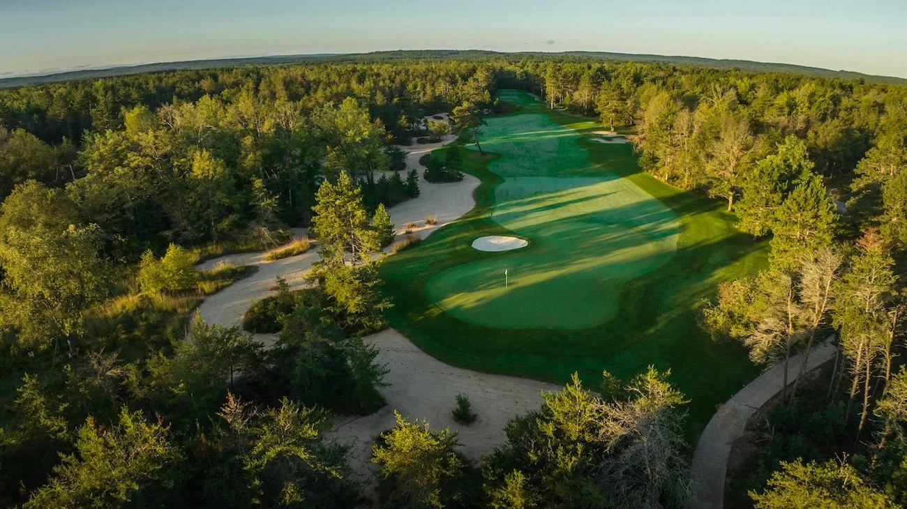 Trees, rough, and sandy natural areas frame a hole on the Forest Dunes course