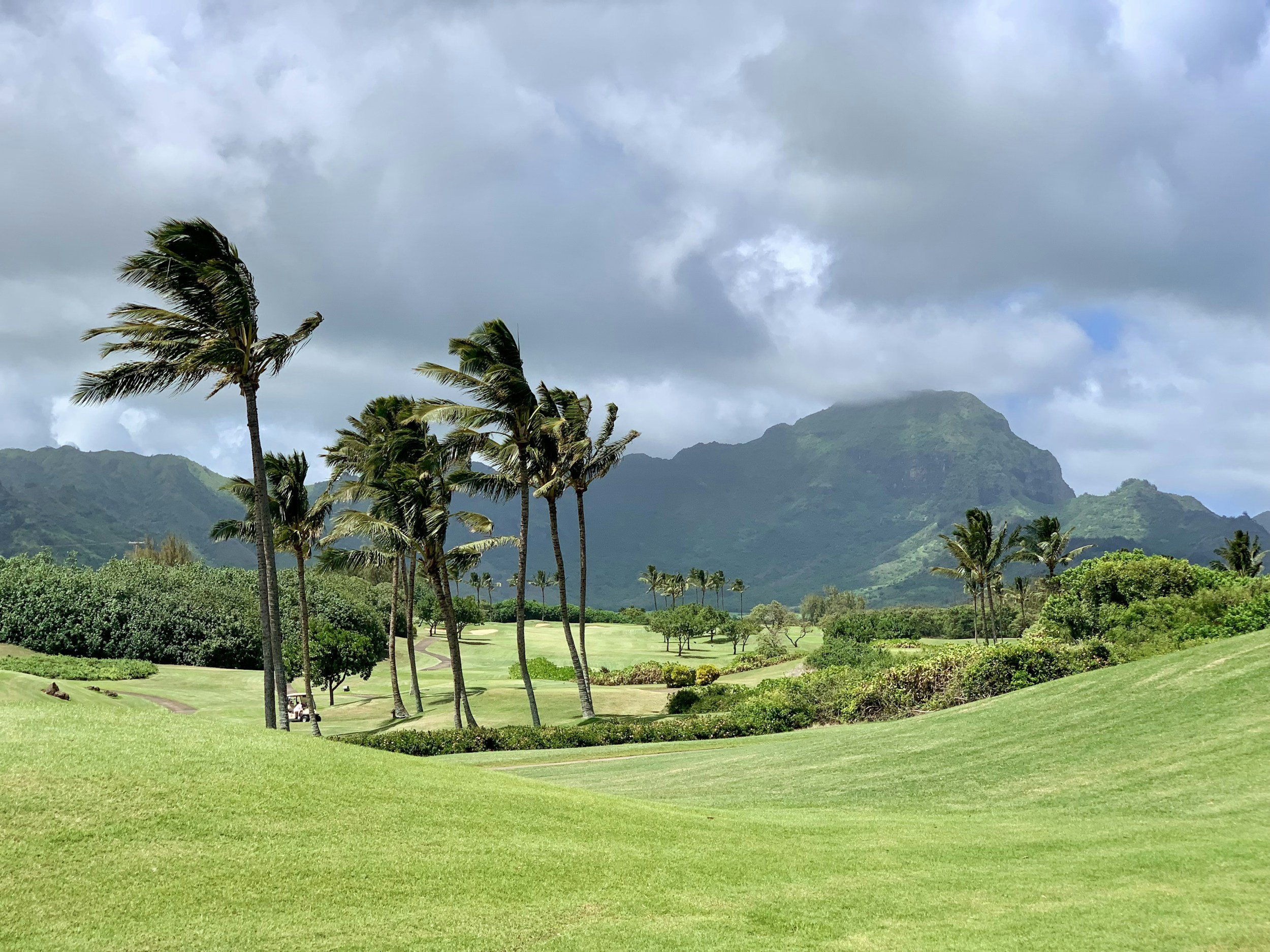 Golf course in Kauai with palm trees, lush vegetation, and verdant mountains beneath an ominous sky