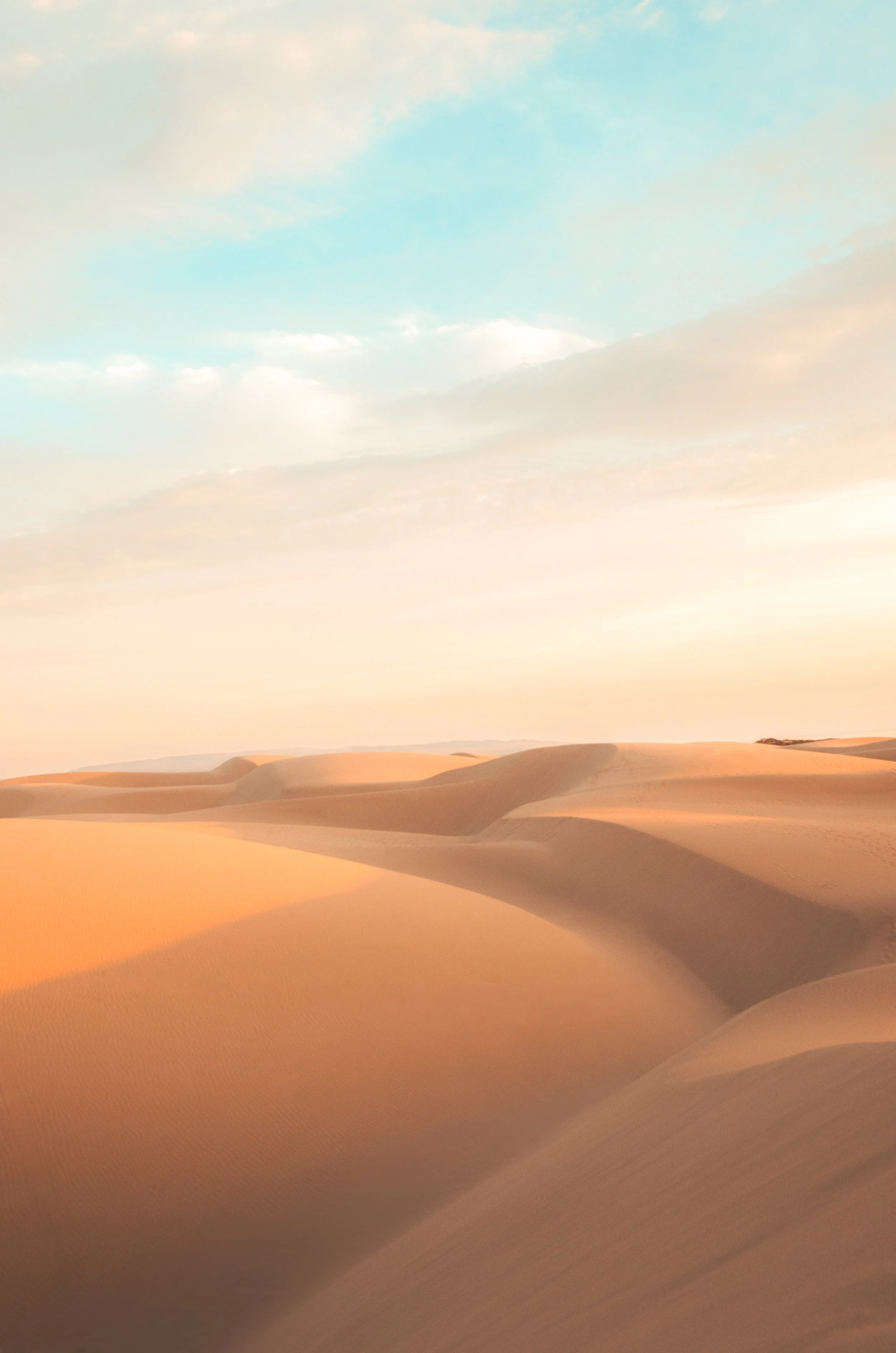 DSC_6278-Edit-2.JPG