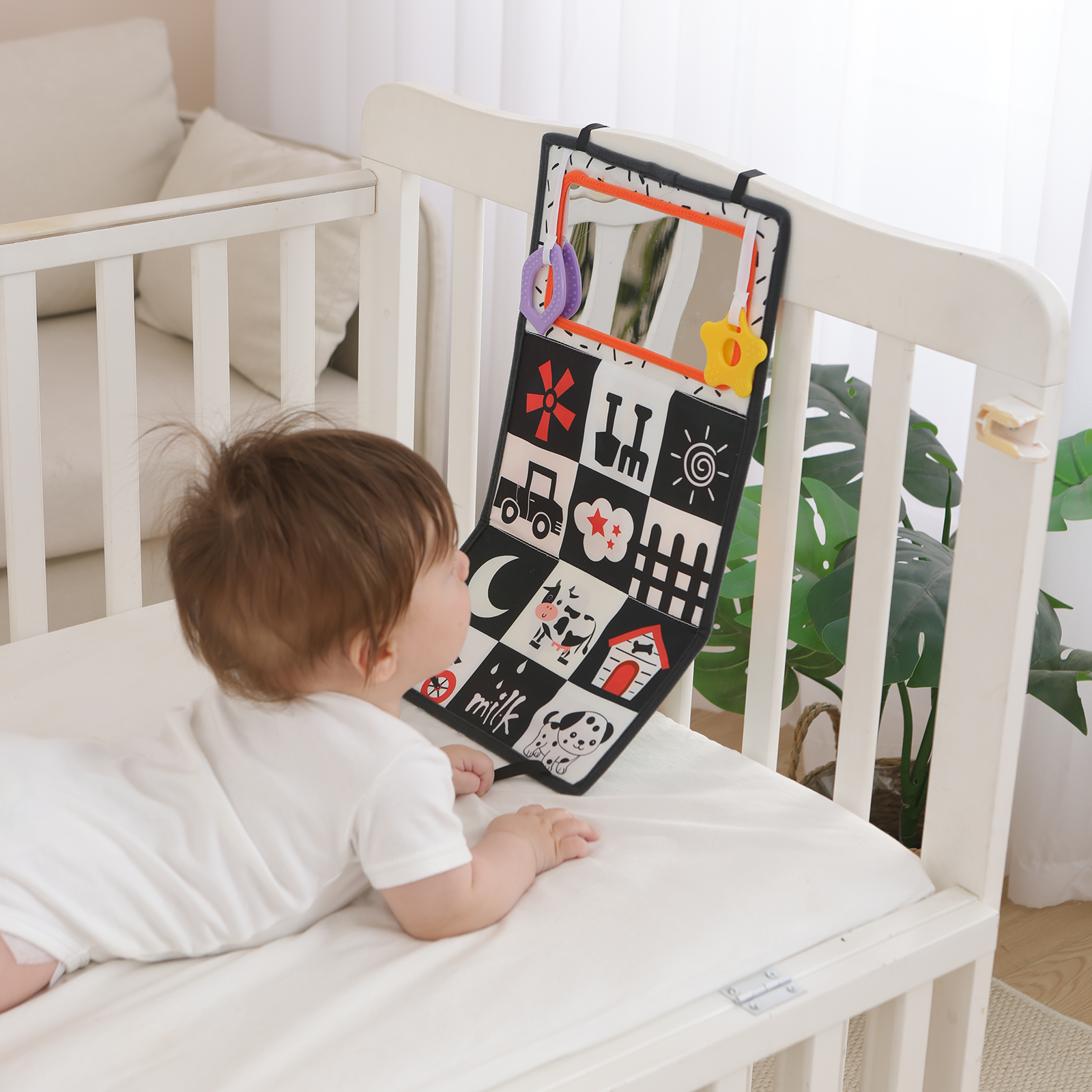 tummy time books.png