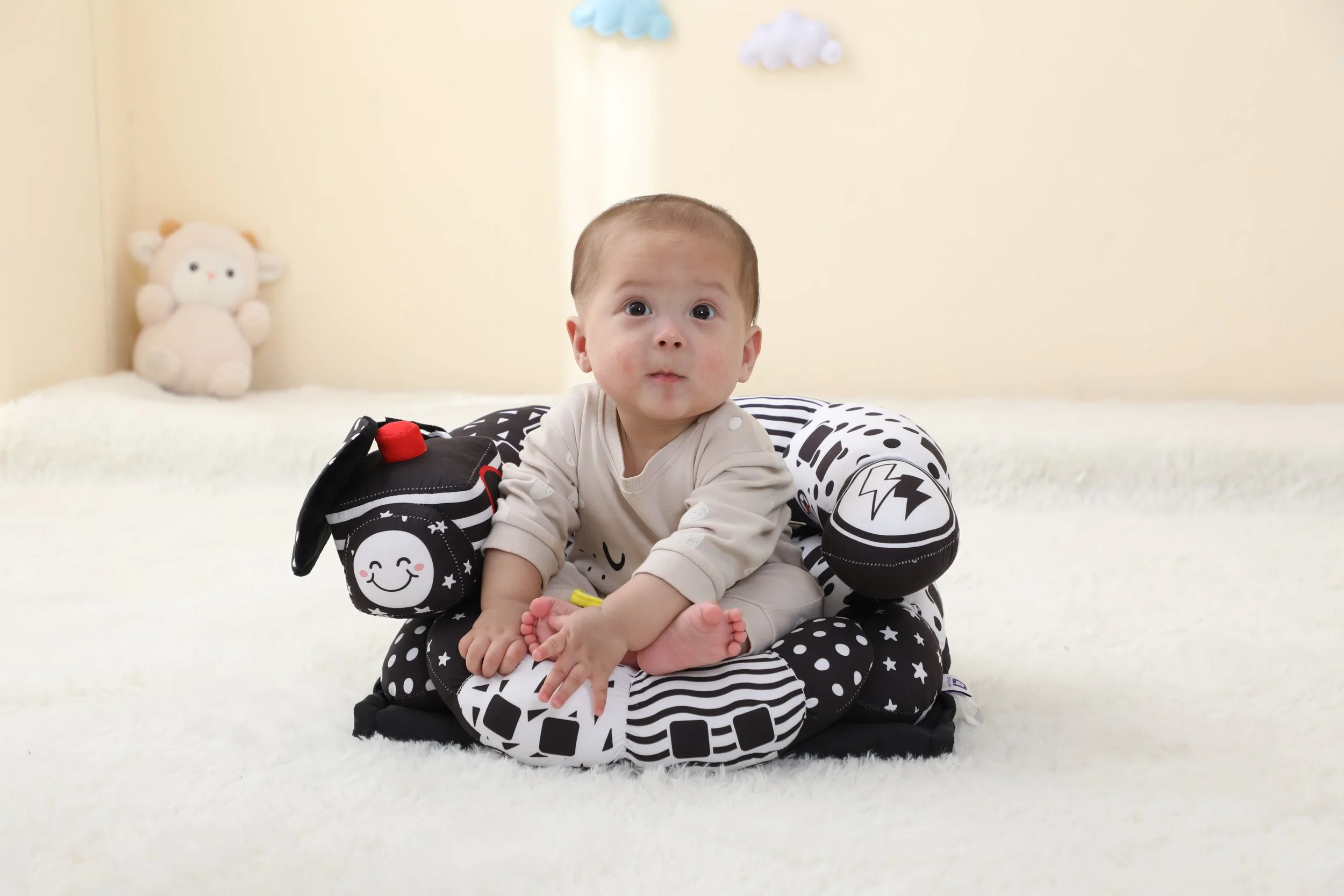 2-in-1 B & W Tummy Time & Seated Support Pillow for New Born