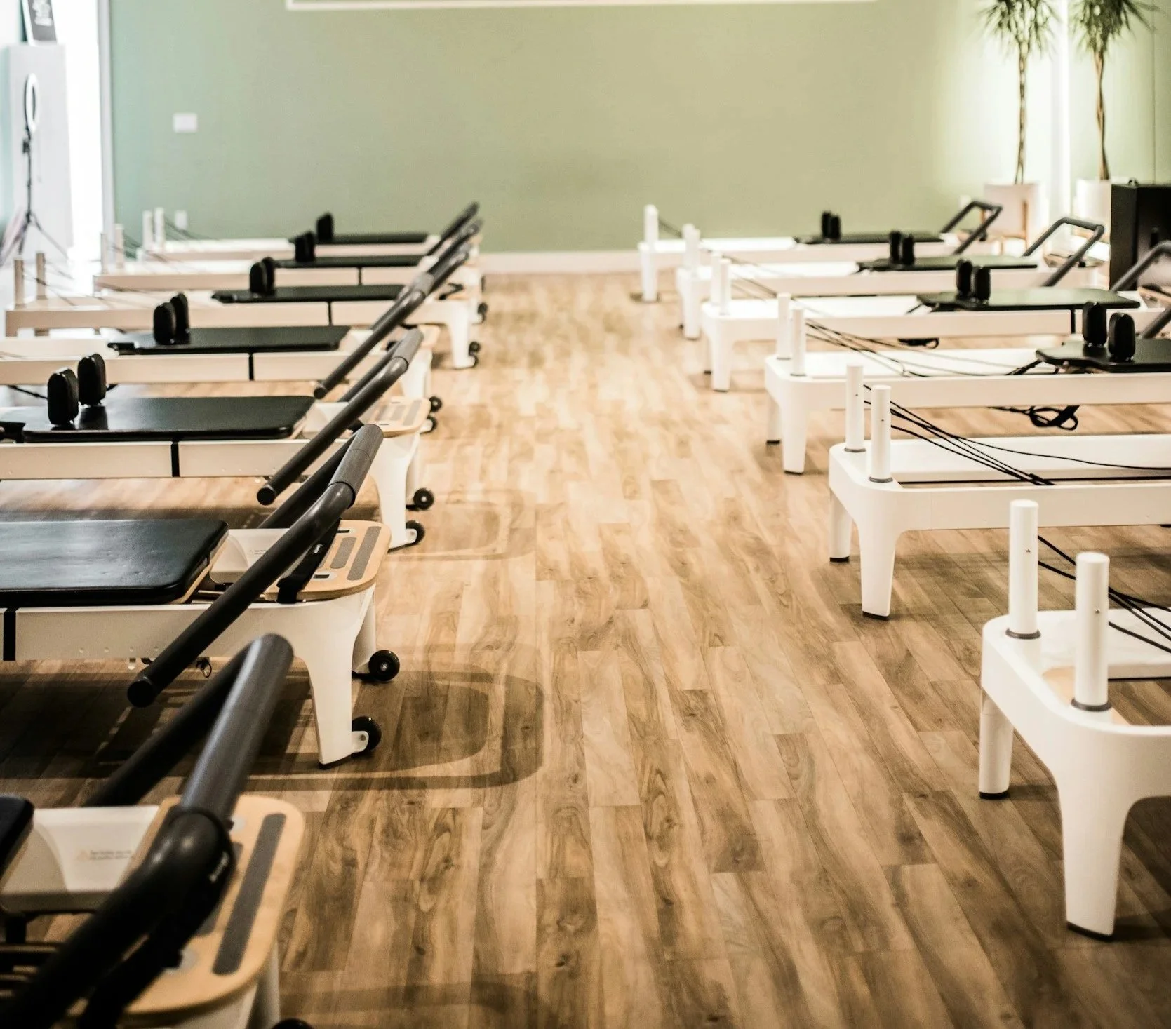 Pilates reformer machines arranged in rows in a bright gym room with green walls and wood flooring.