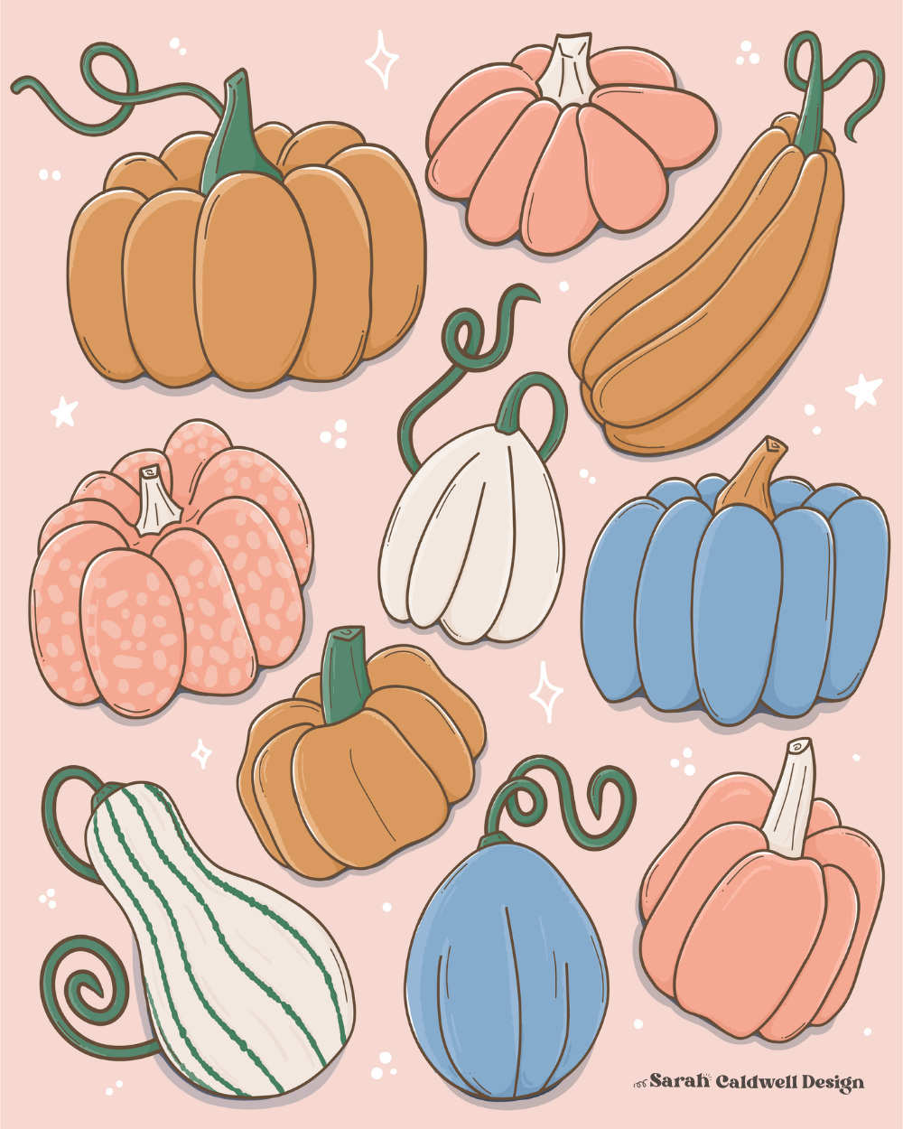 Gourds Illustration