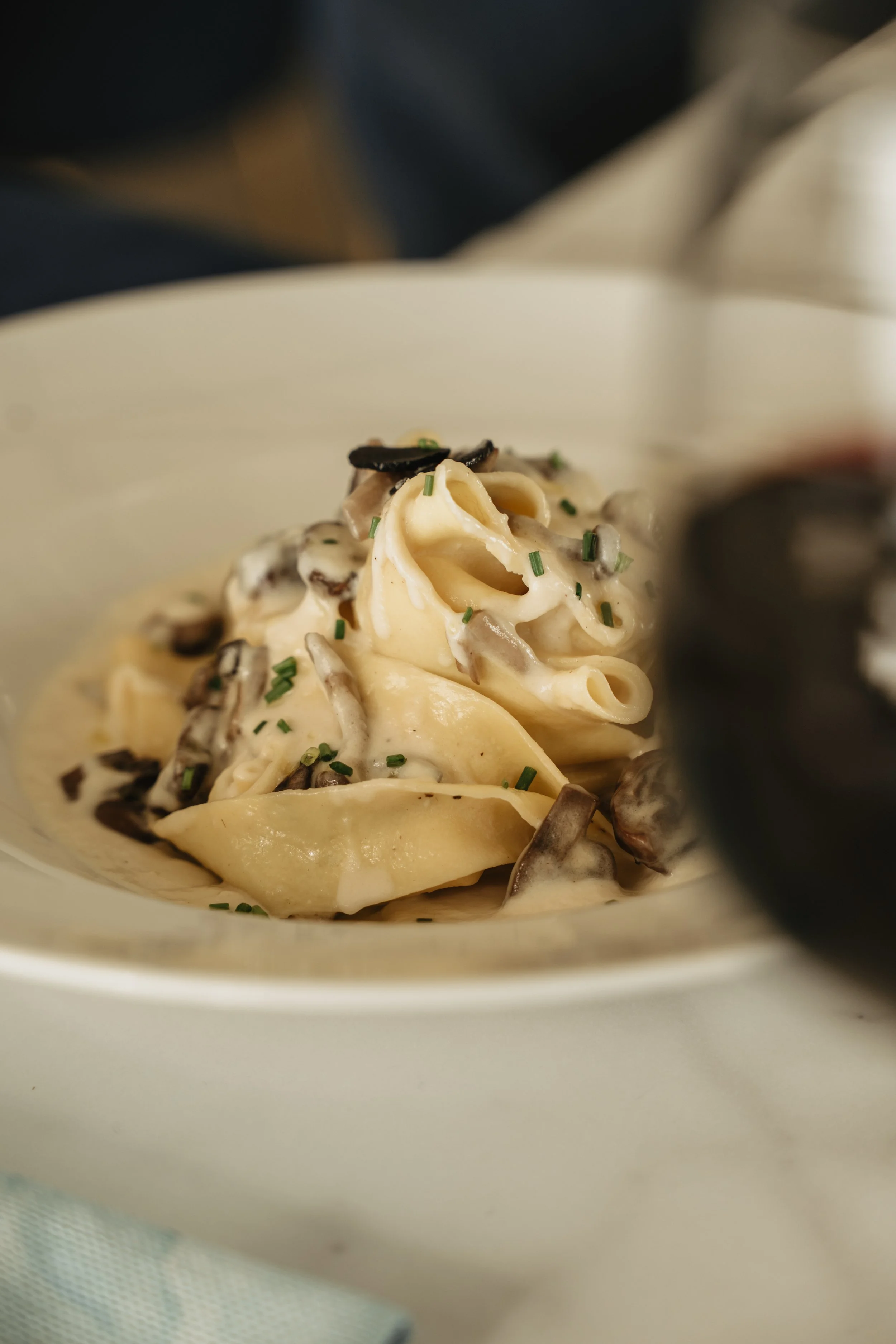 Plate of creamy mushroom tortellini garnished with chopped chives.
