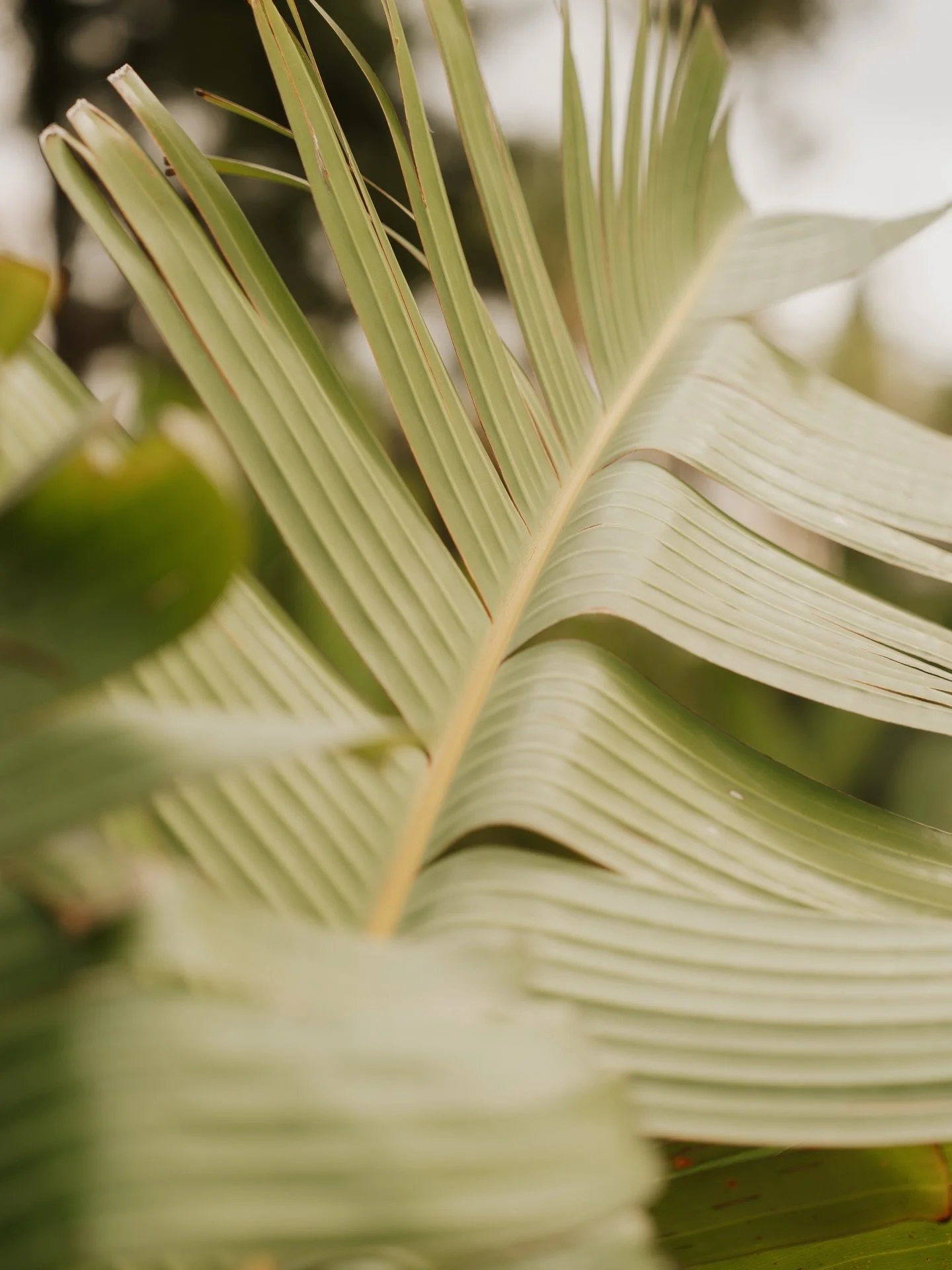 🍃 Welcome to Por Fin. It's time to enjoy the views. 🌊