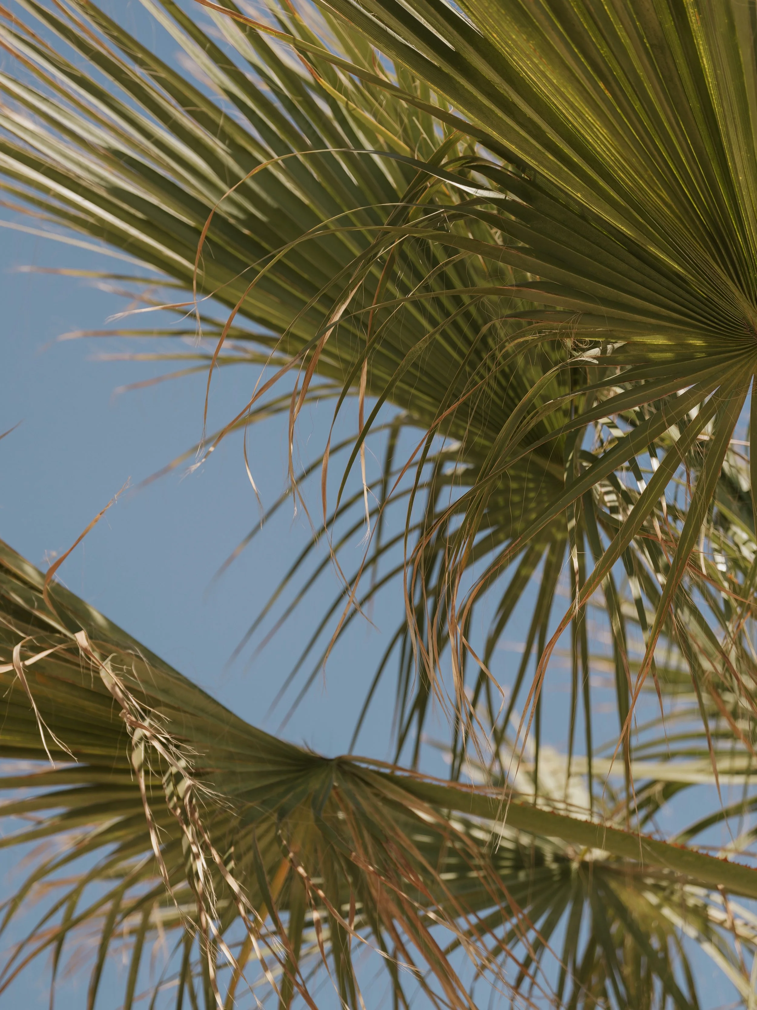 Sundays are better at #PorFinEstepona ☀️🌴