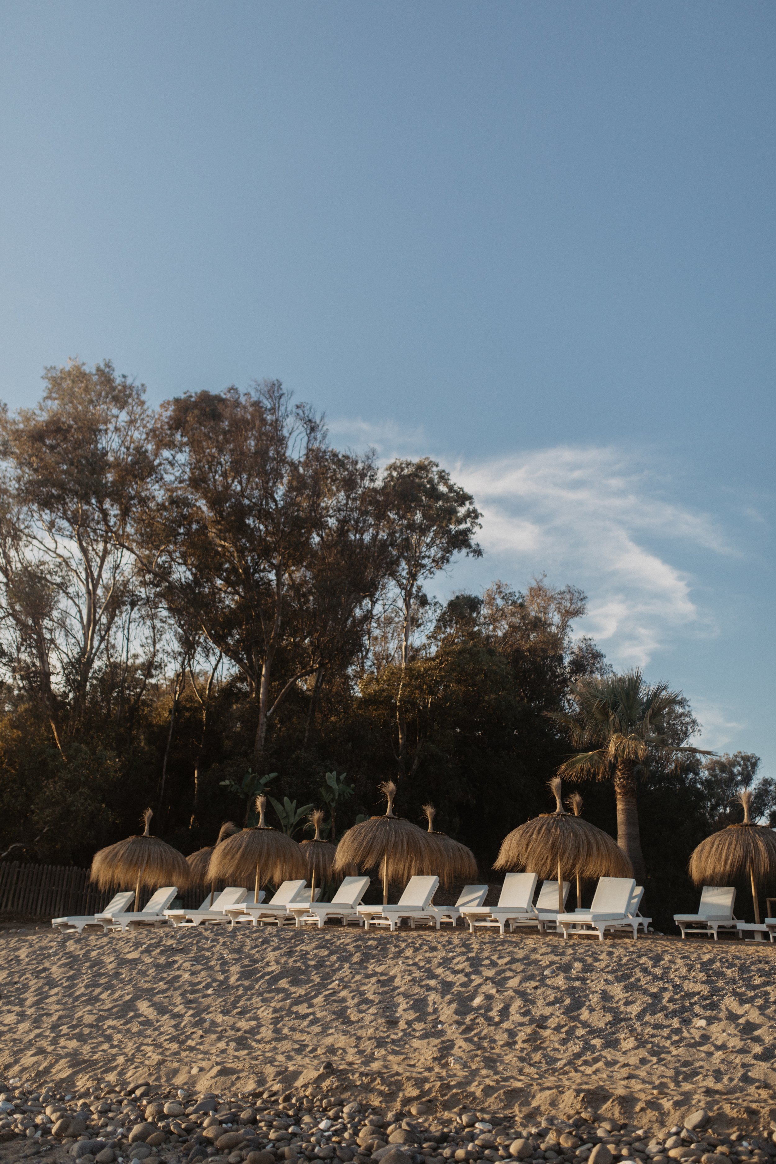 Beach scene with white lounge chairs and thatched umbrellas on sandy shore, surrounded by trees under a clear blue sky.