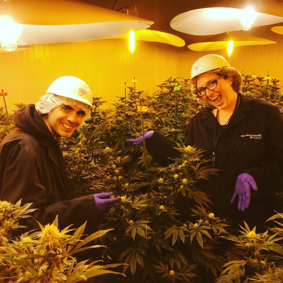 A Bootlegging Grandmother Inspired This Woman To Start A Career In Cannabis