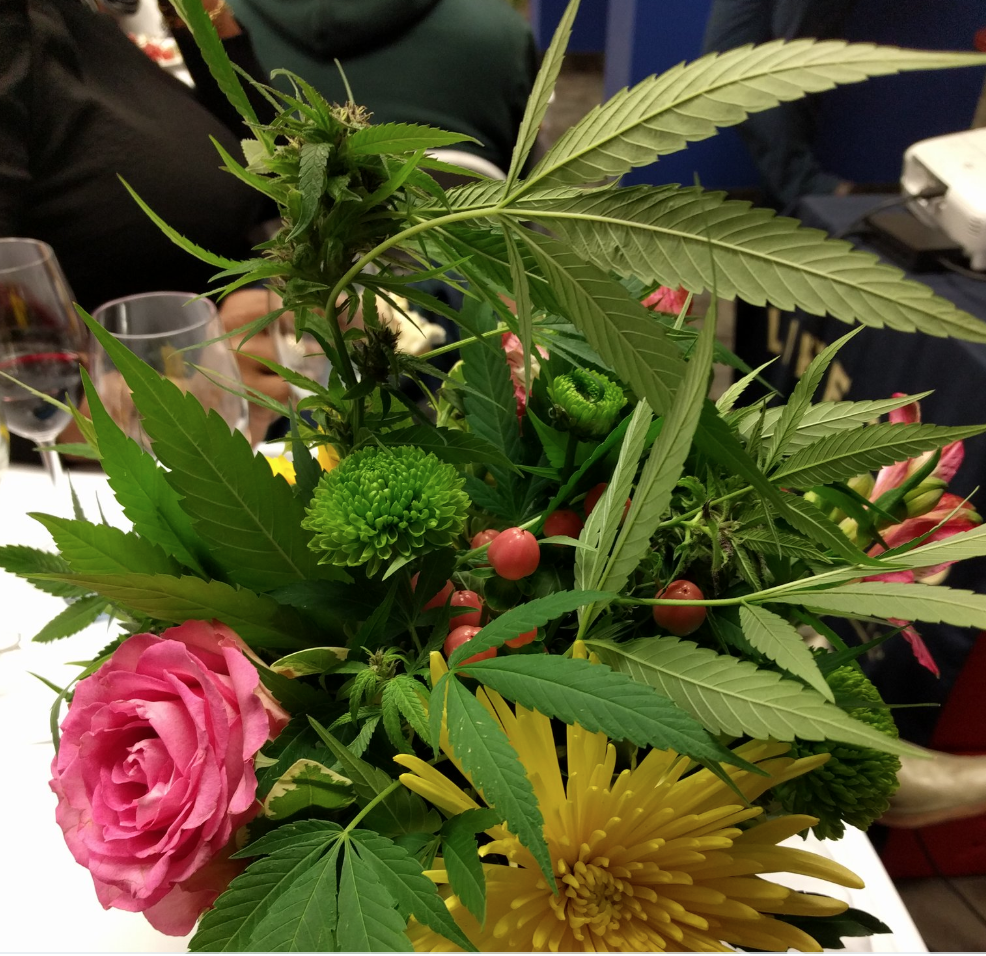 Lifford Cannabis Solutions unveils Western Portfolio