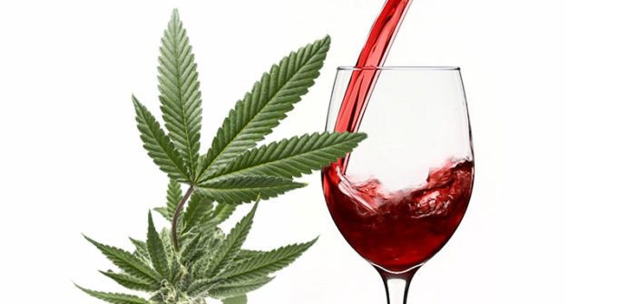 Weed Pairs Well With Wine, at the Corporate Level in Canada