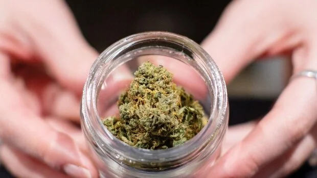Experts predict more cannabis layoffs and executive departures coming this year