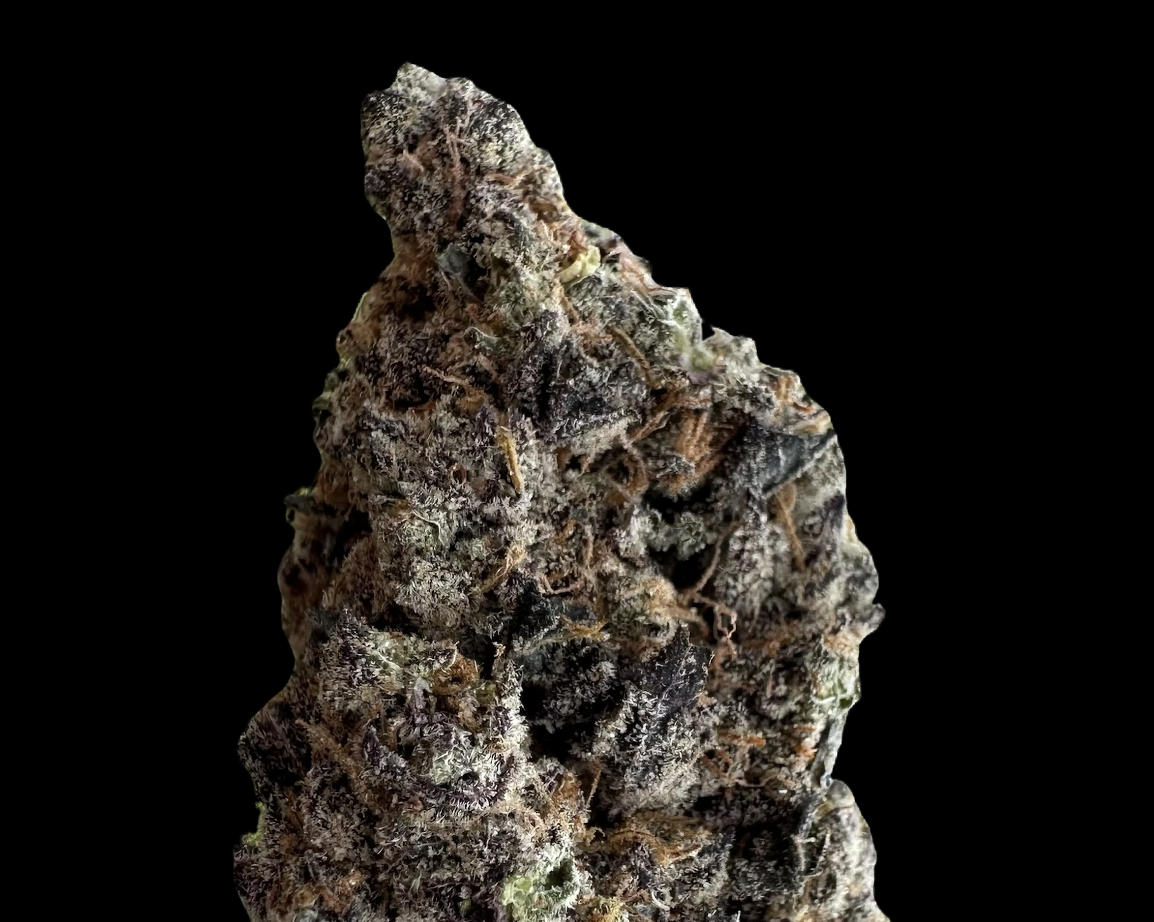 Screenshot 2025-12-16 at 12.26.00 pm.png