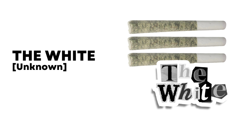 9.png