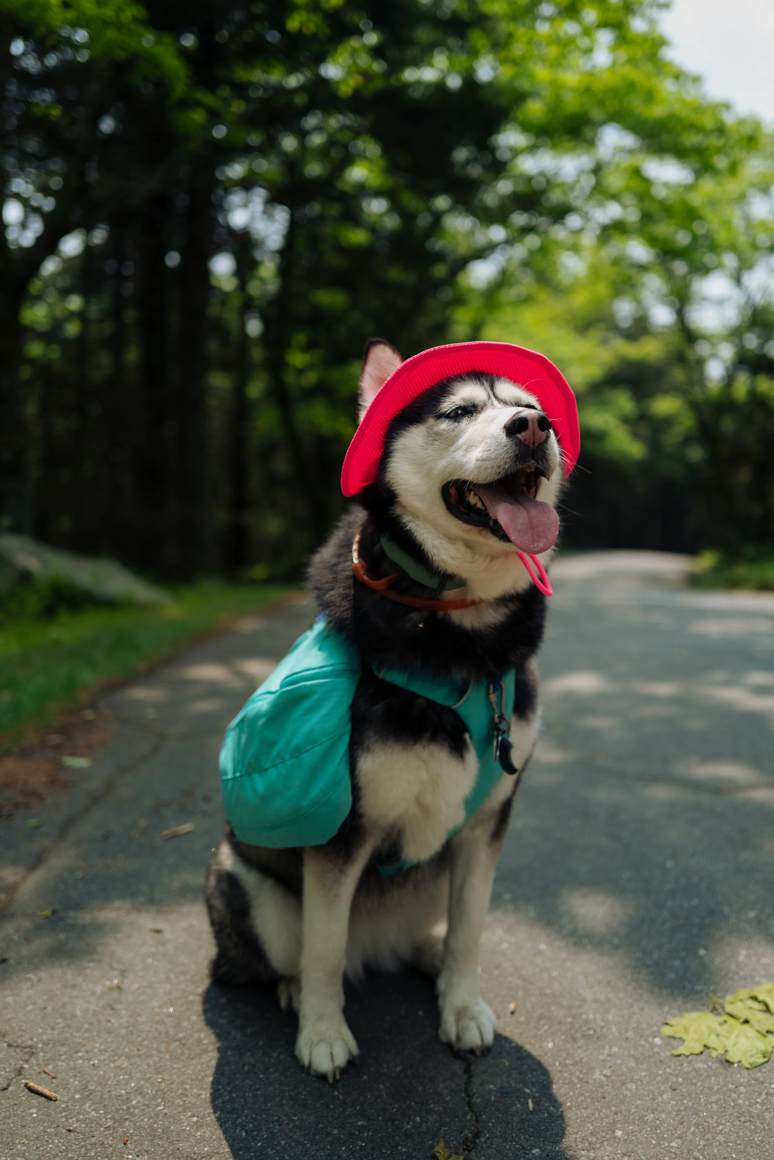 Website Photos-31.jpg