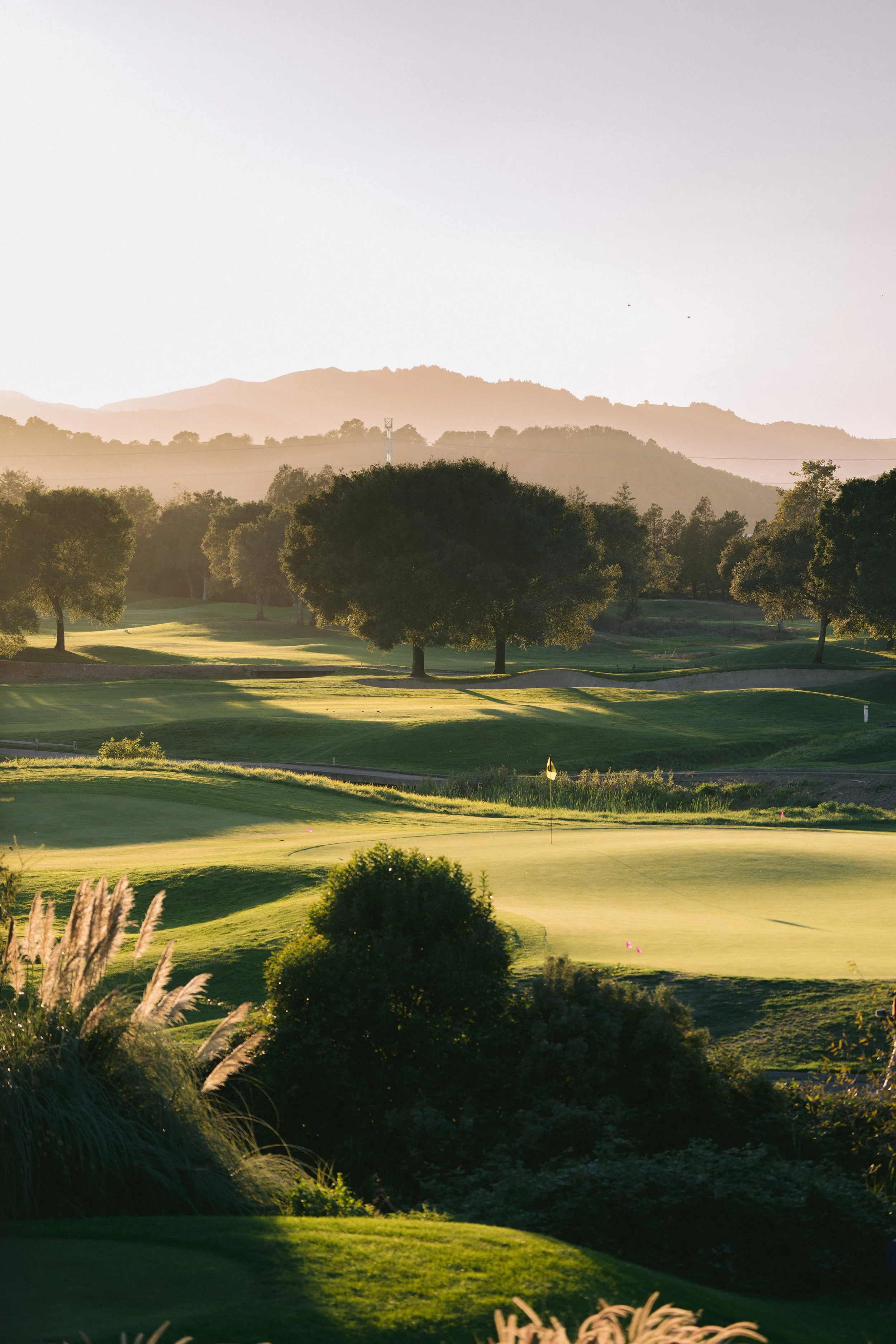 20251019 Stonetree Golf_Edit-37.jpg