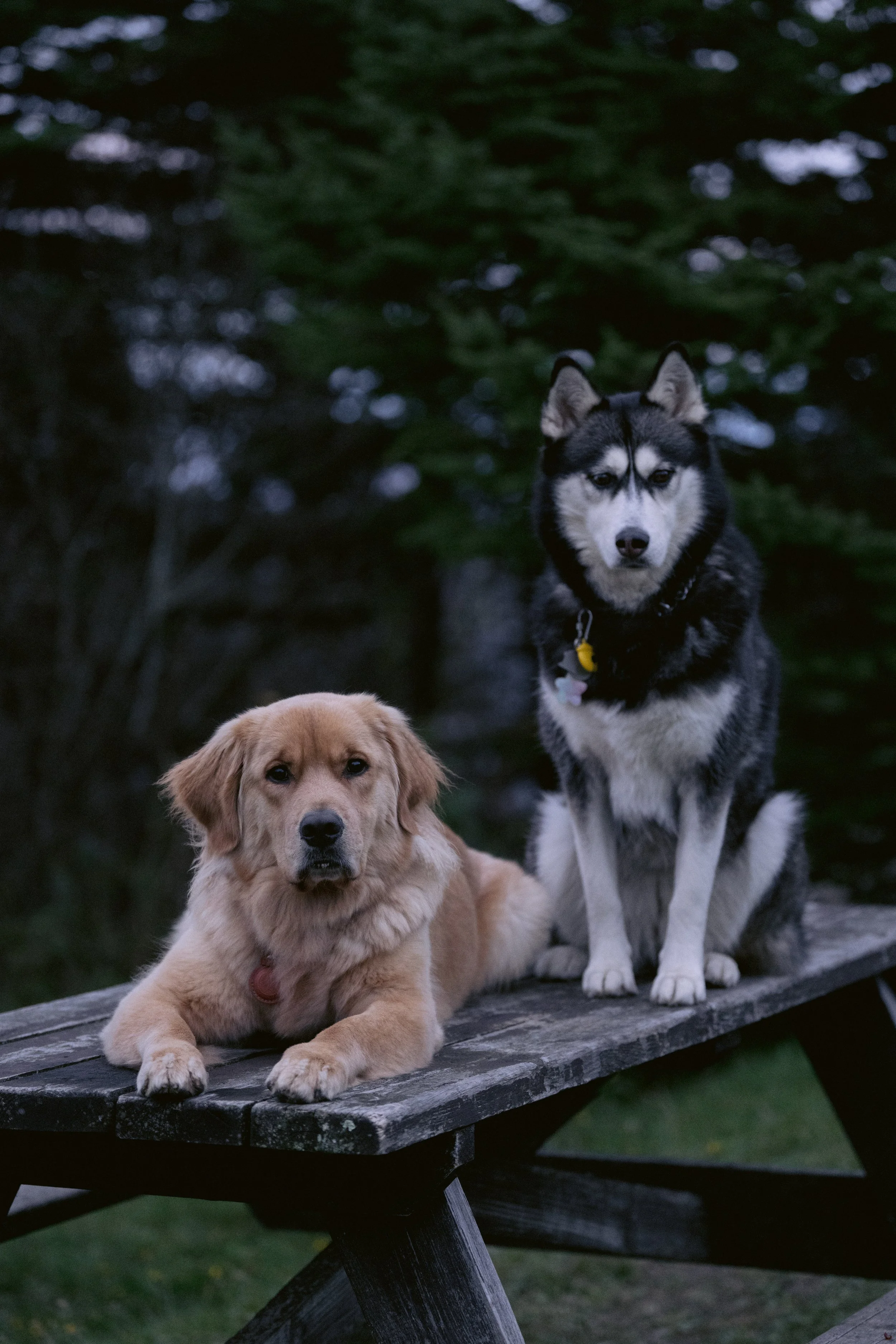 Website Photos-29.jpg