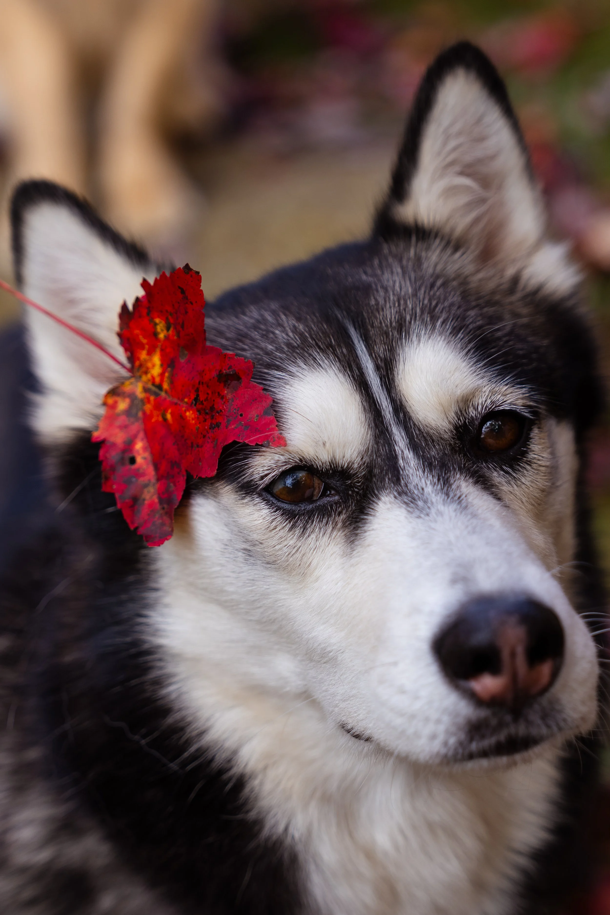 Website Photos-28.jpg