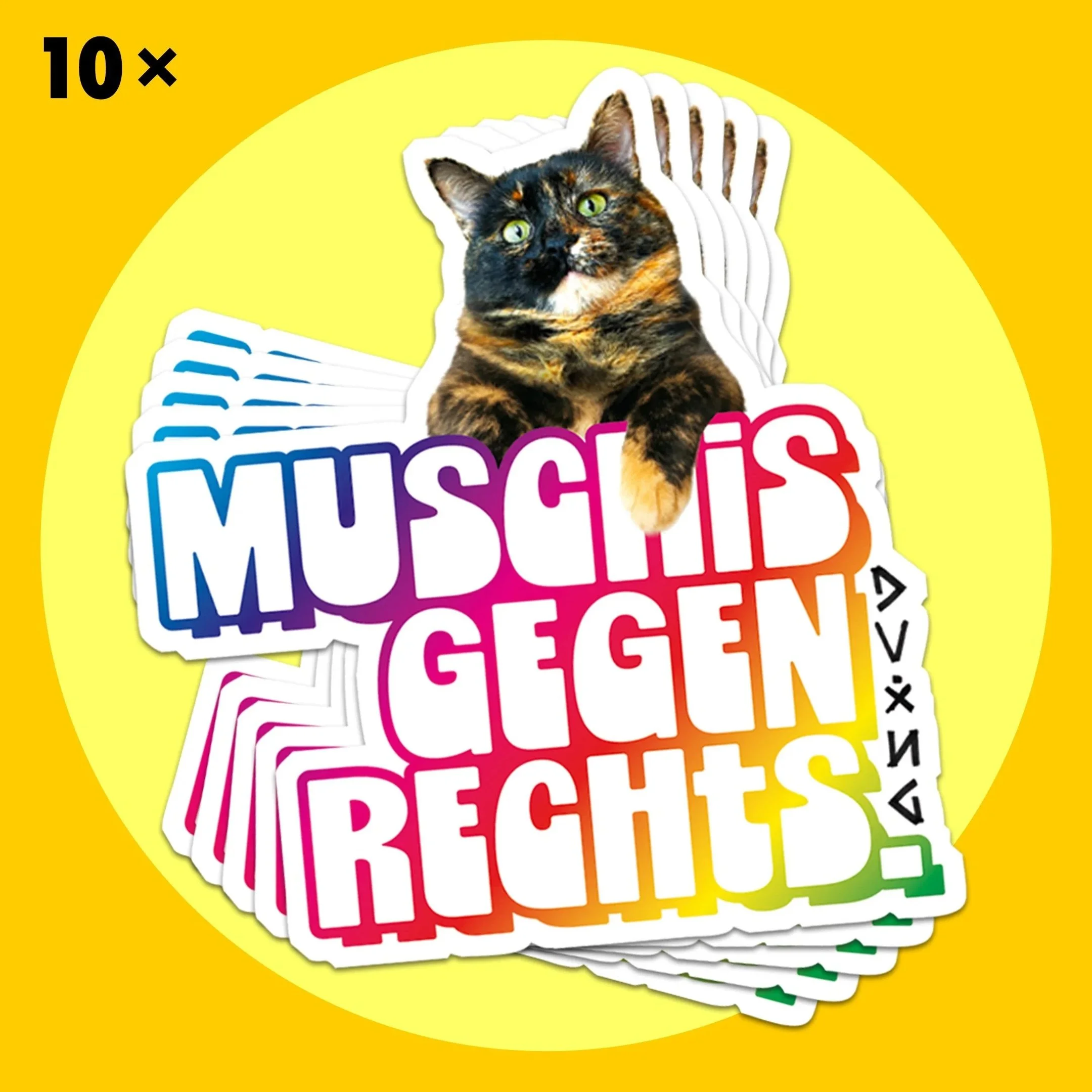 Rainbow Muschi Bundle