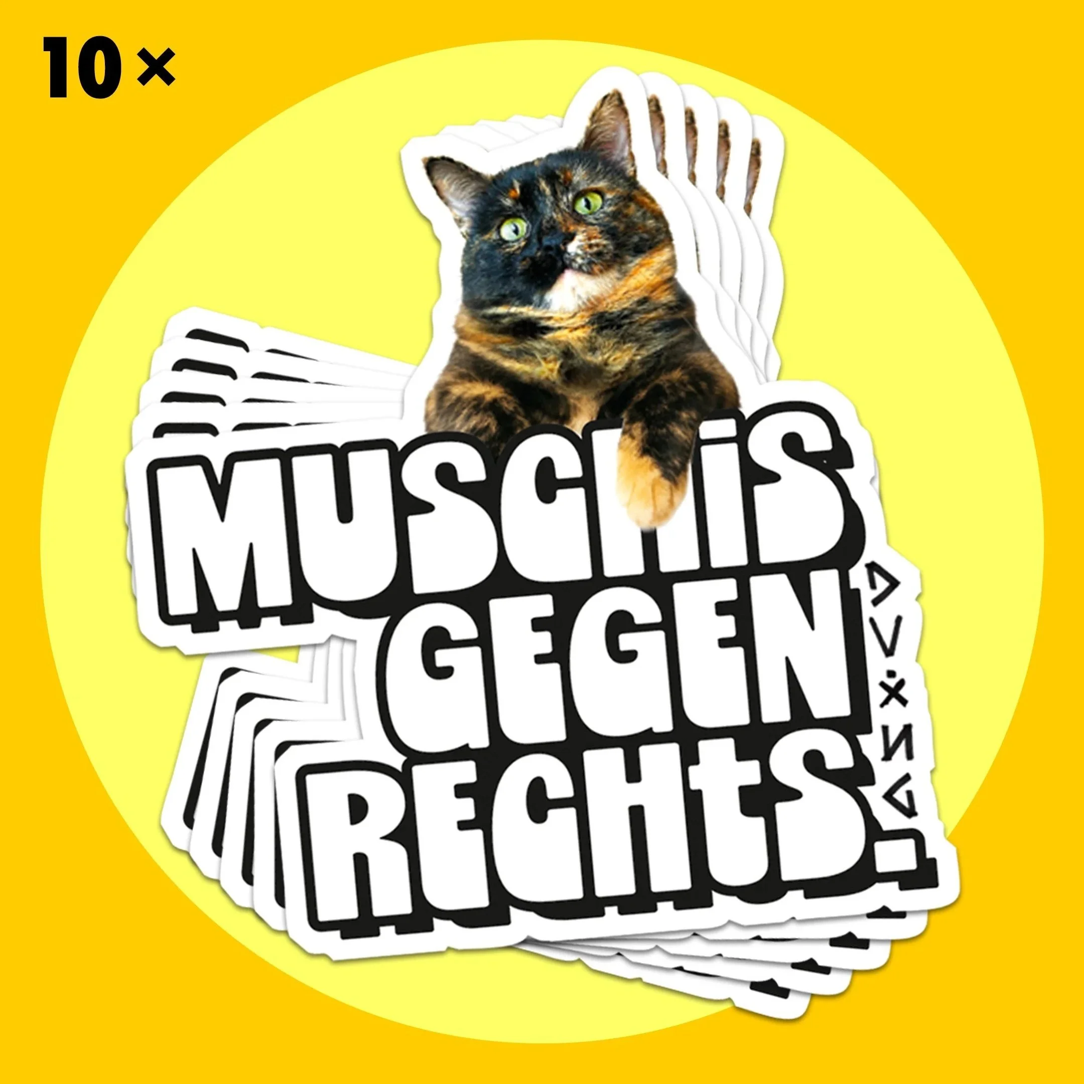 Ordinary Muschi Bundle