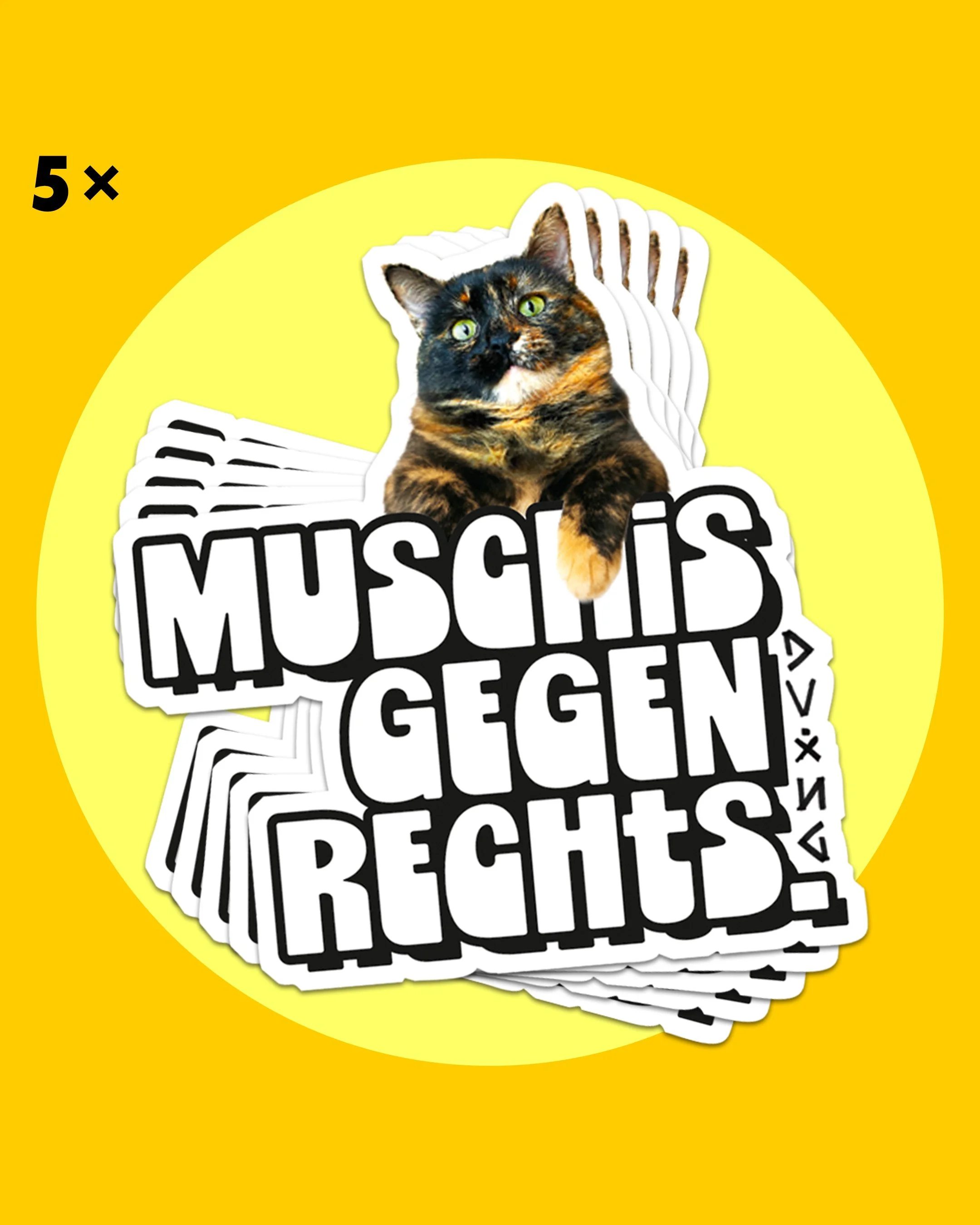 Ordinary Muschi Bundle