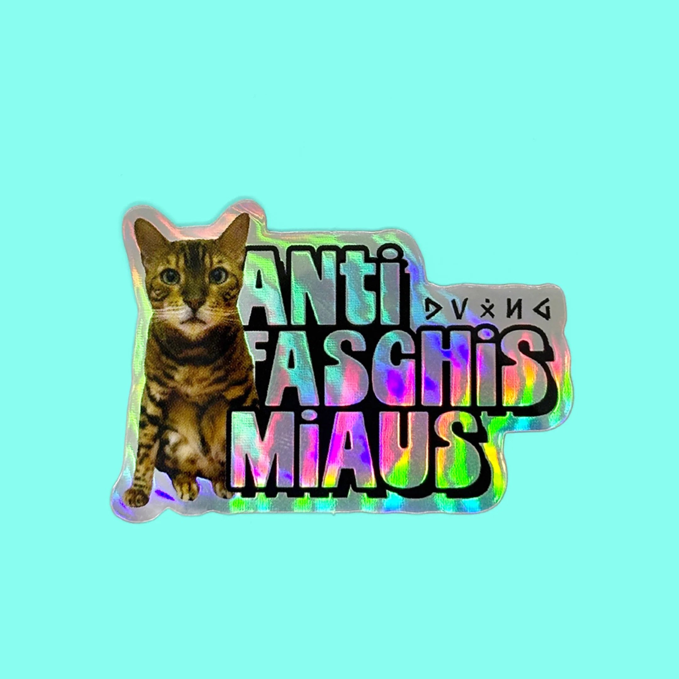 Muschi+08%402x.jpg