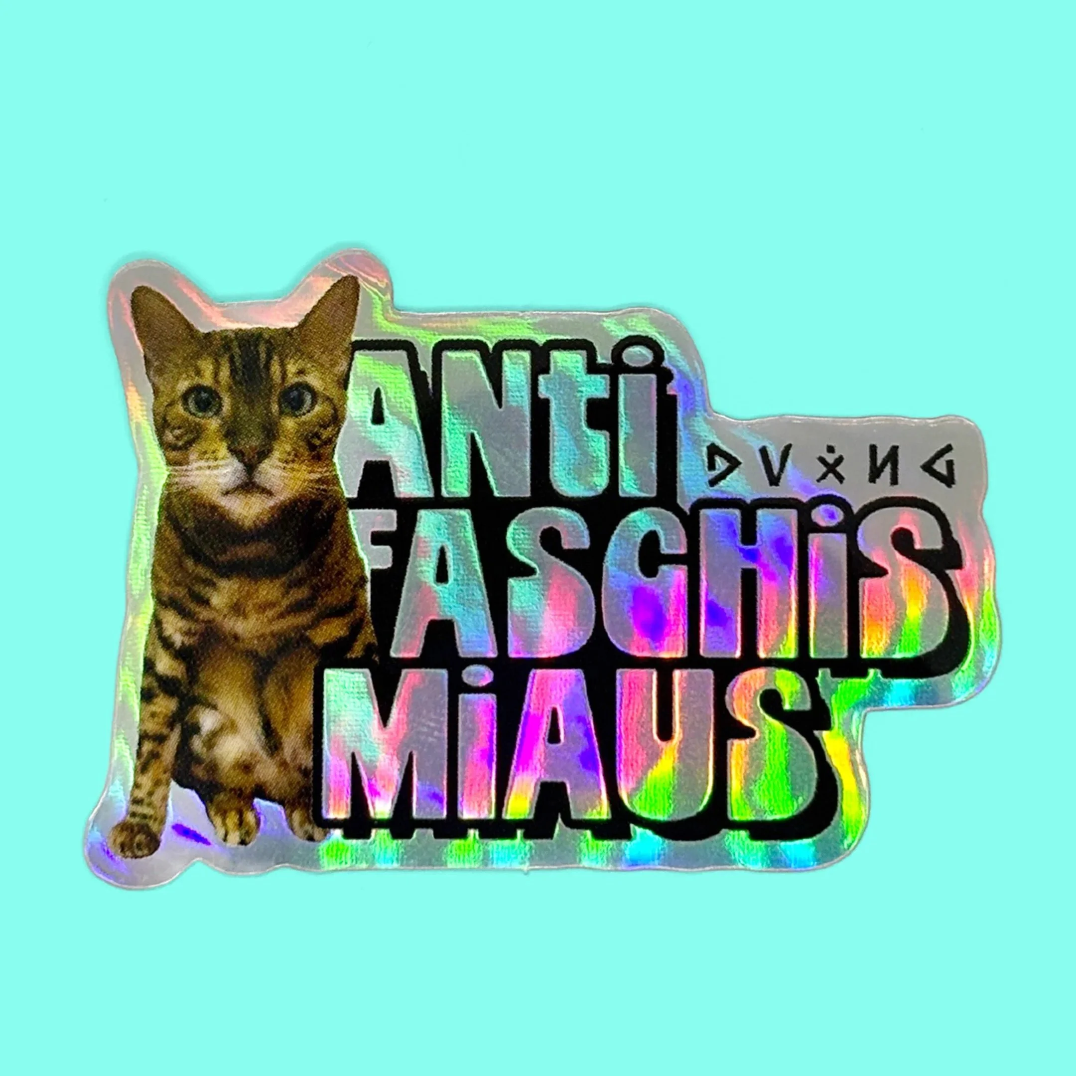Muschi+08%402x.jpg