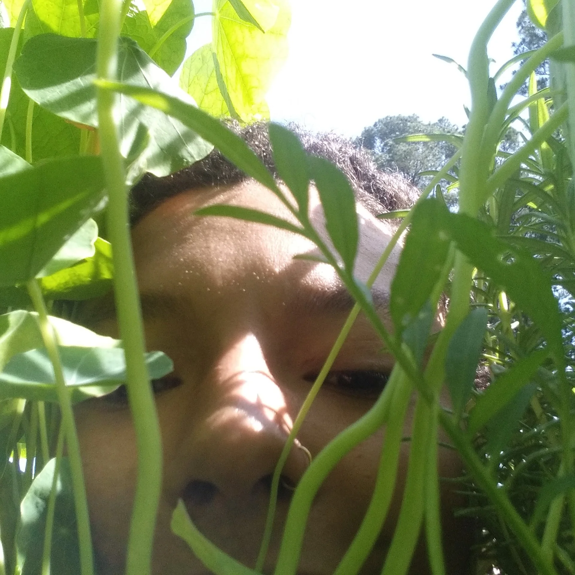 permaculture consultation