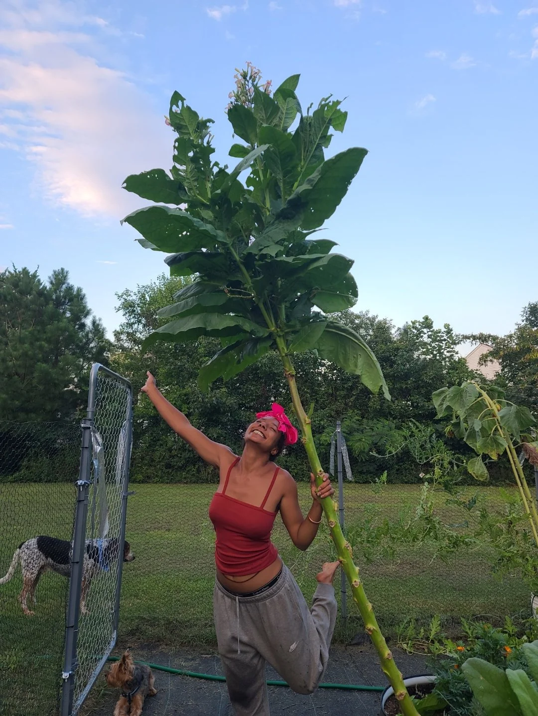 plant the seeds winter education