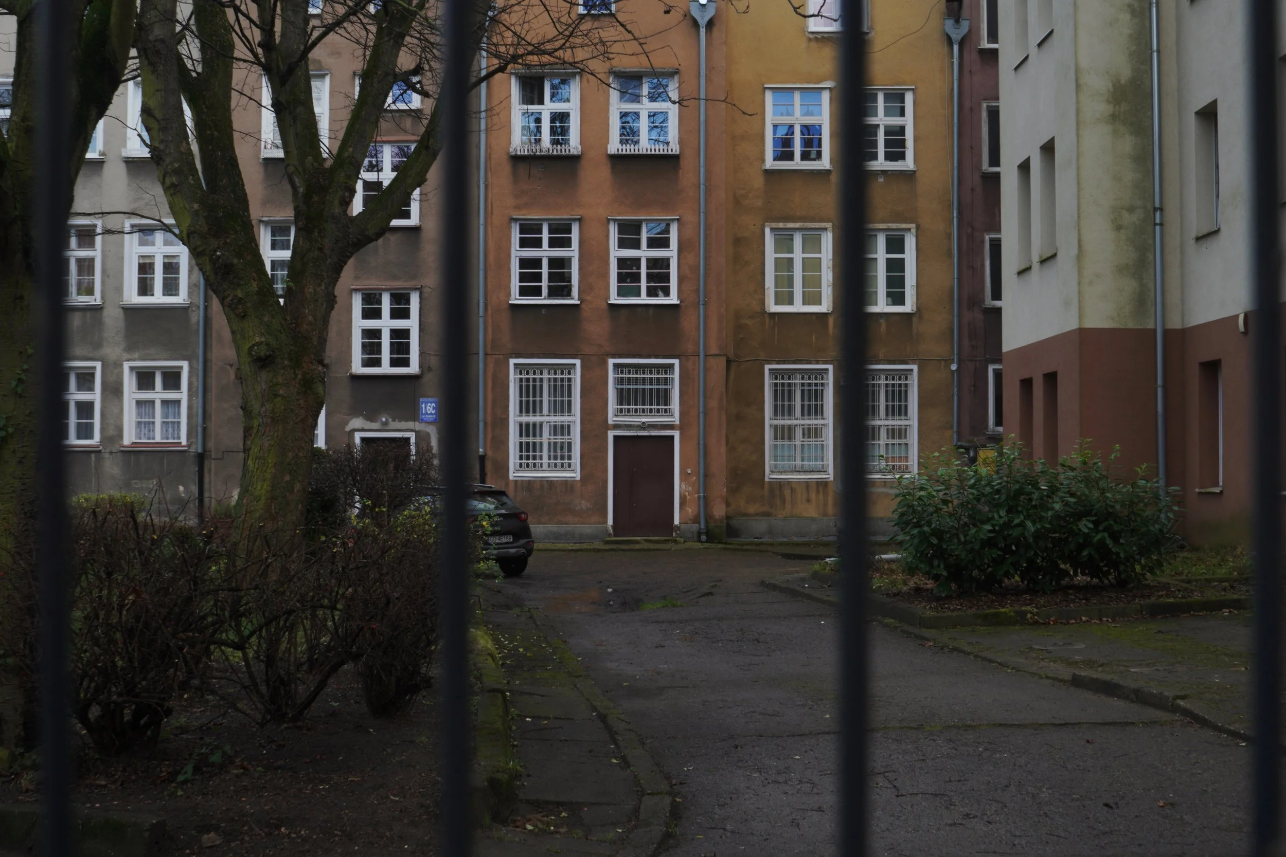 View of a residential courtyard seen through black metal fence bars. There are several old buildings with multiple windows, a large tree, bushes, and a parked black car.