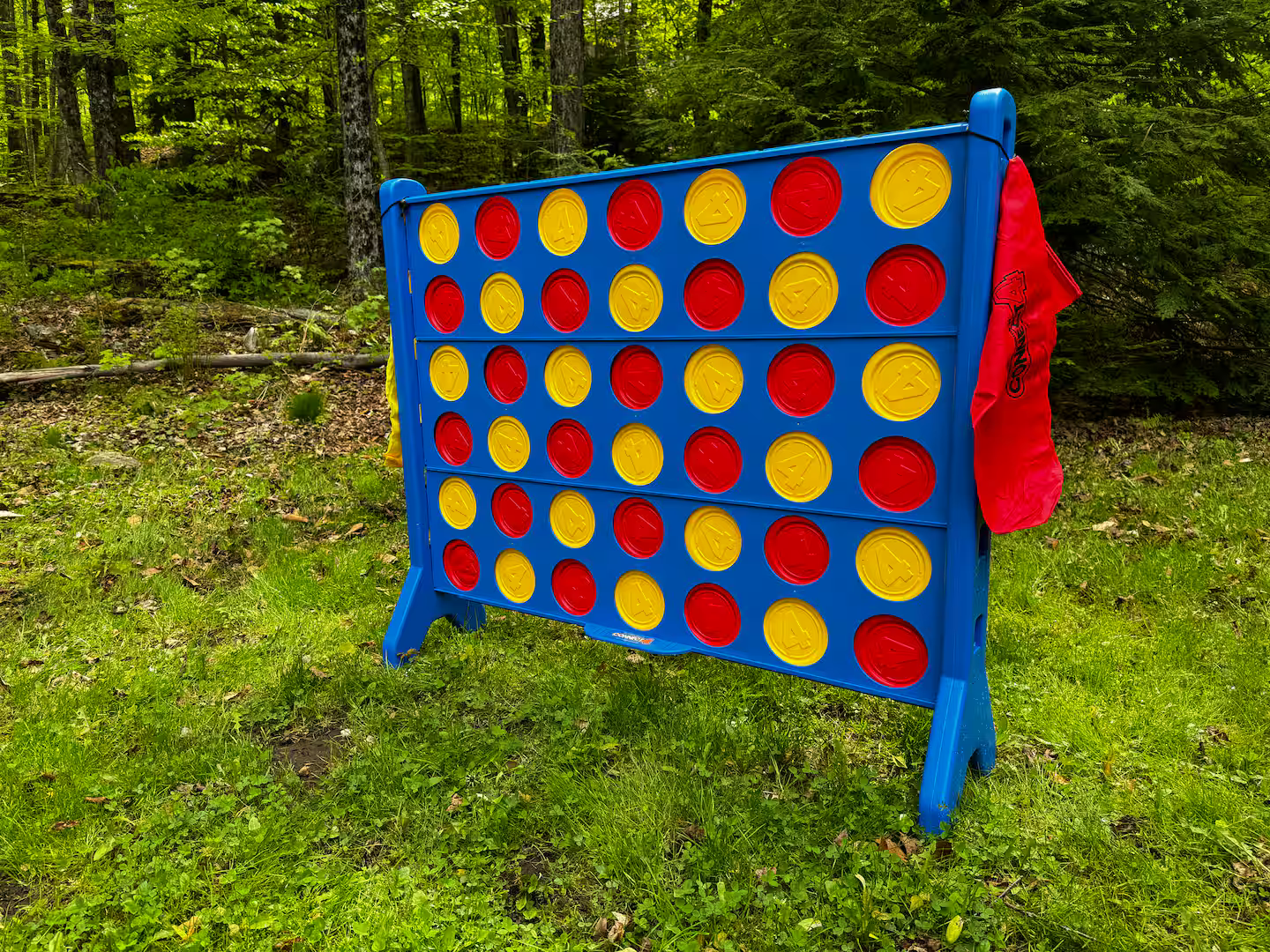 Open, wooded backyard provides plenty of space for cornhole, frisbee, and lawn games—great for kids and adults alike.