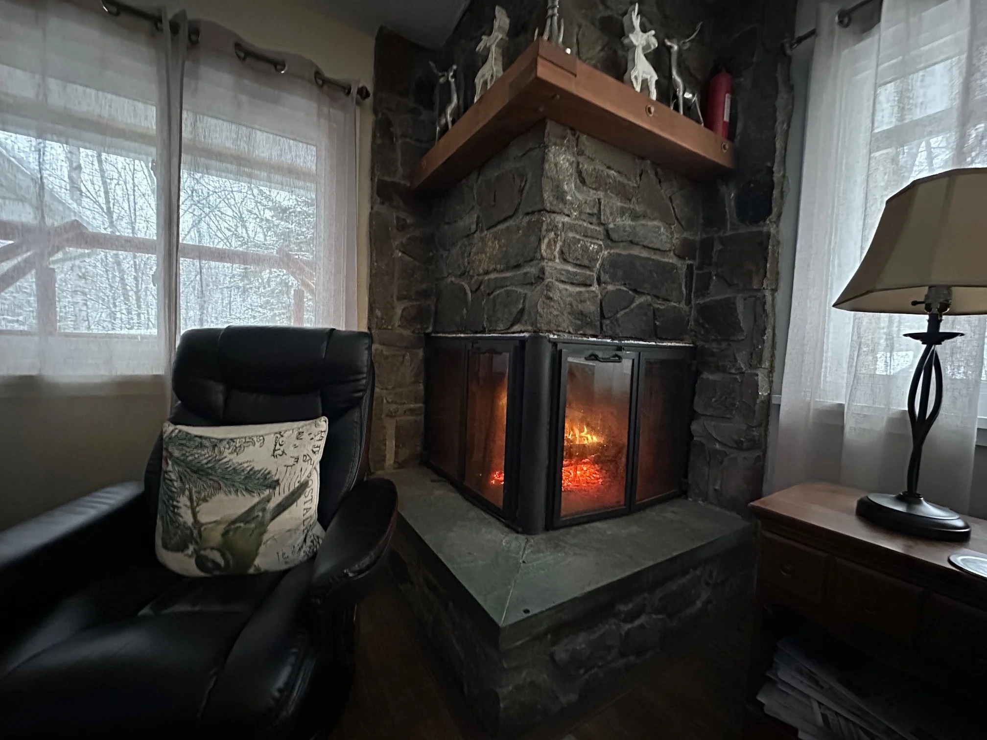 Wood burning fireplace 